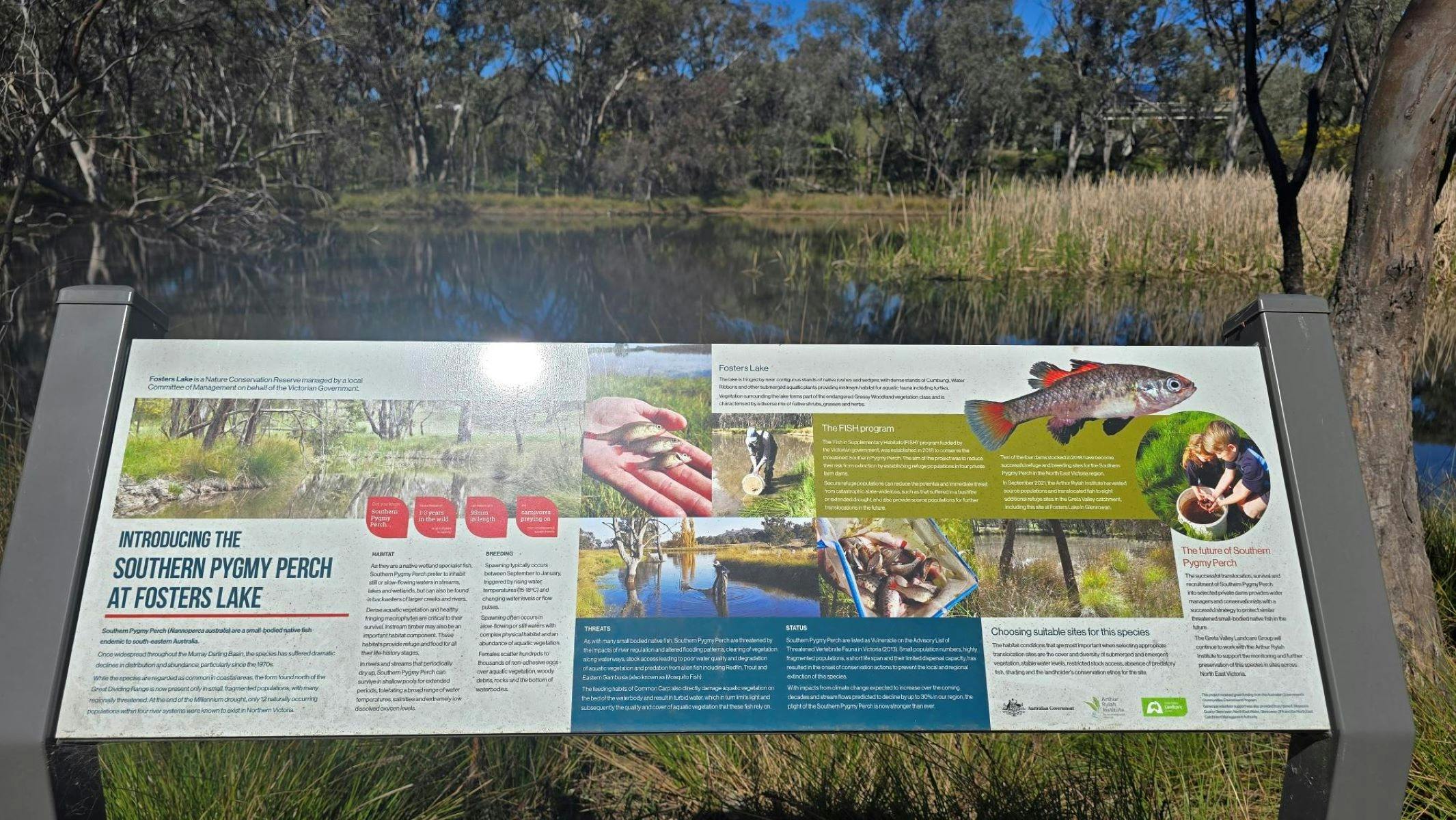 White, green and blue sign with information on the fish stocking of Fosters Lake