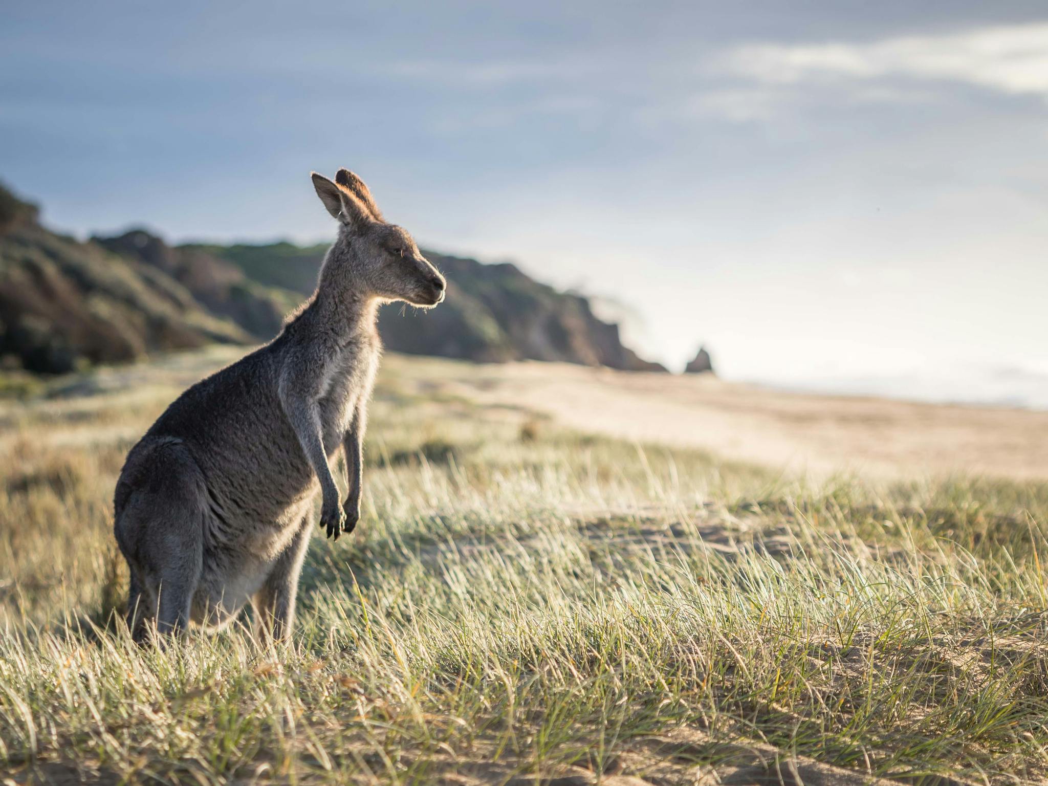 Mimosa Rocks National Park, Tathra, Sapphire Coast