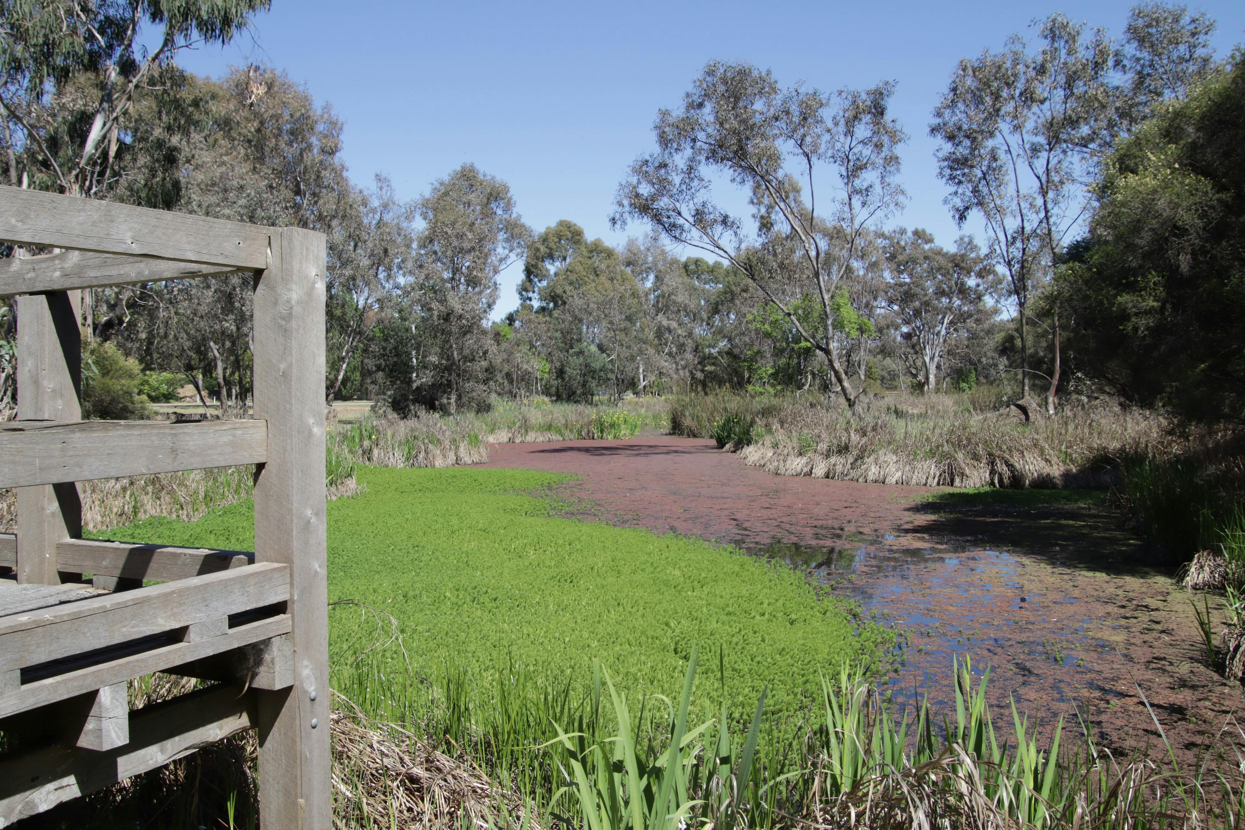 Mansfield Mullum Wetlands