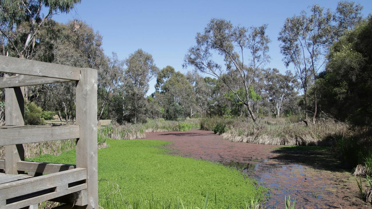 Mansfield Mullum Wetlands