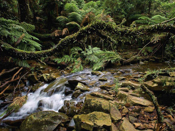 Budderoo National Park