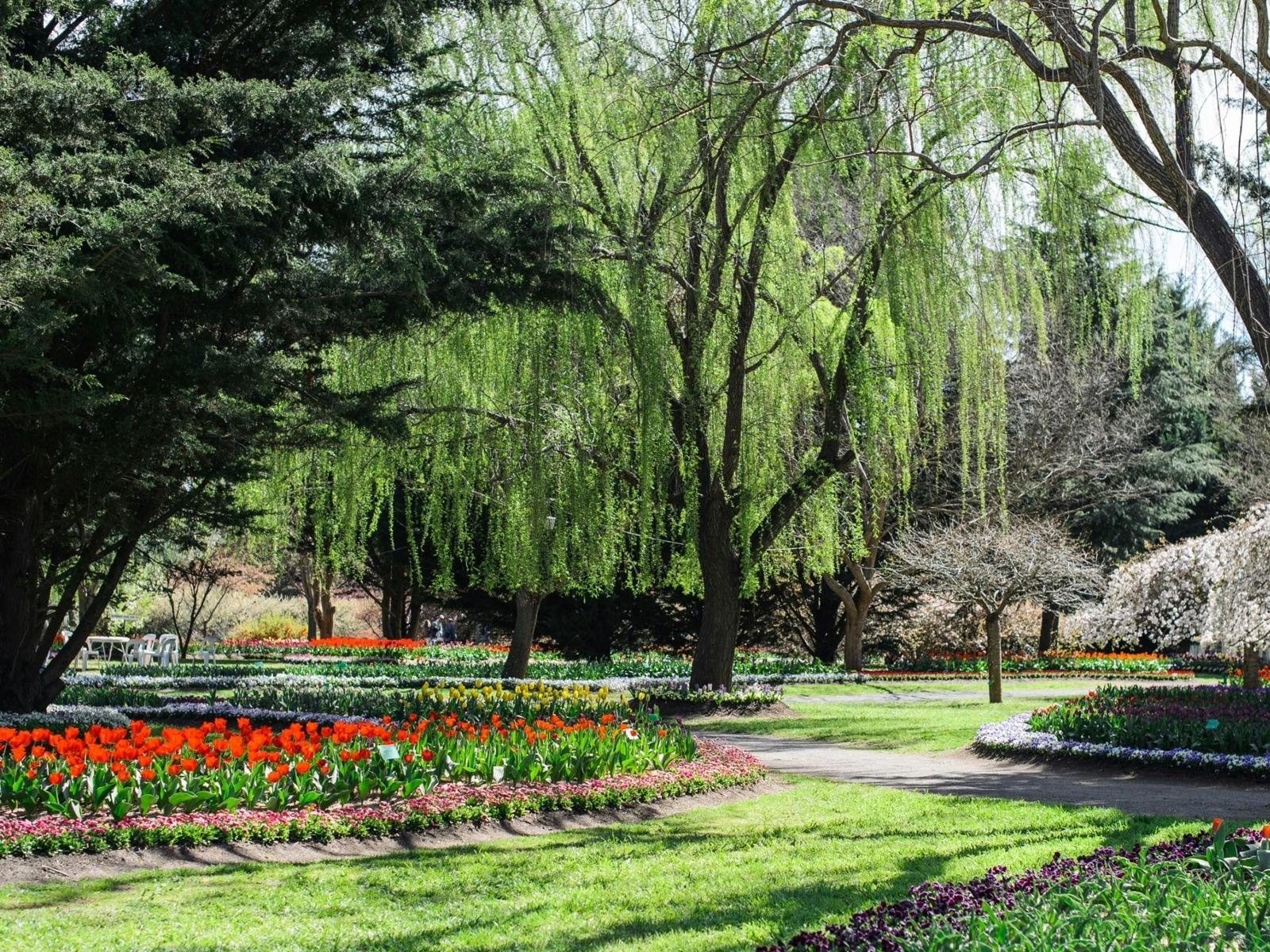 Tulip Top Gardens