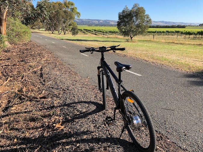 Guided Electric Bike Tour