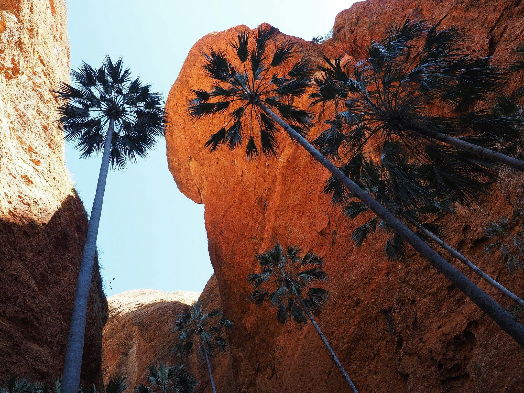 Inspiration Outdoors Walking Tours, Perth, Western Australia