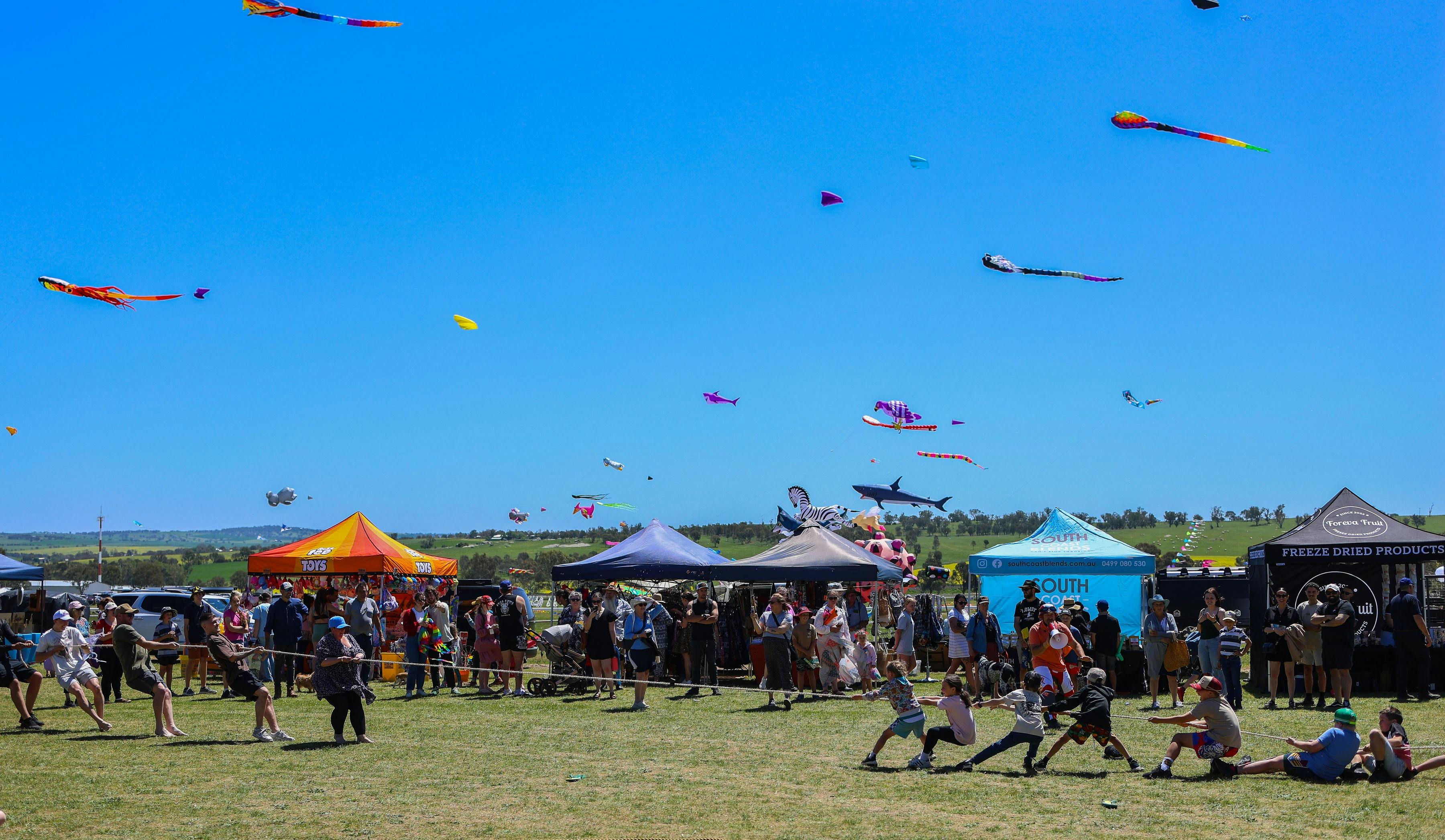 Two teams of children playing tug-of-war in front of a crowd, with stalls and flying kites behind.
