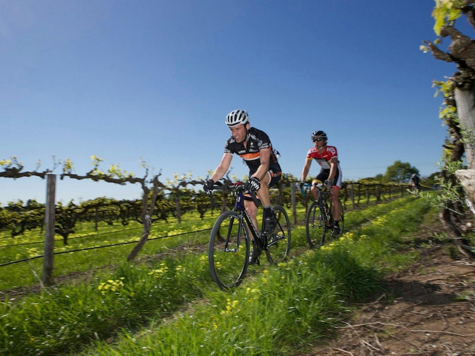 Clare and Barossa Valley Combined Cycle