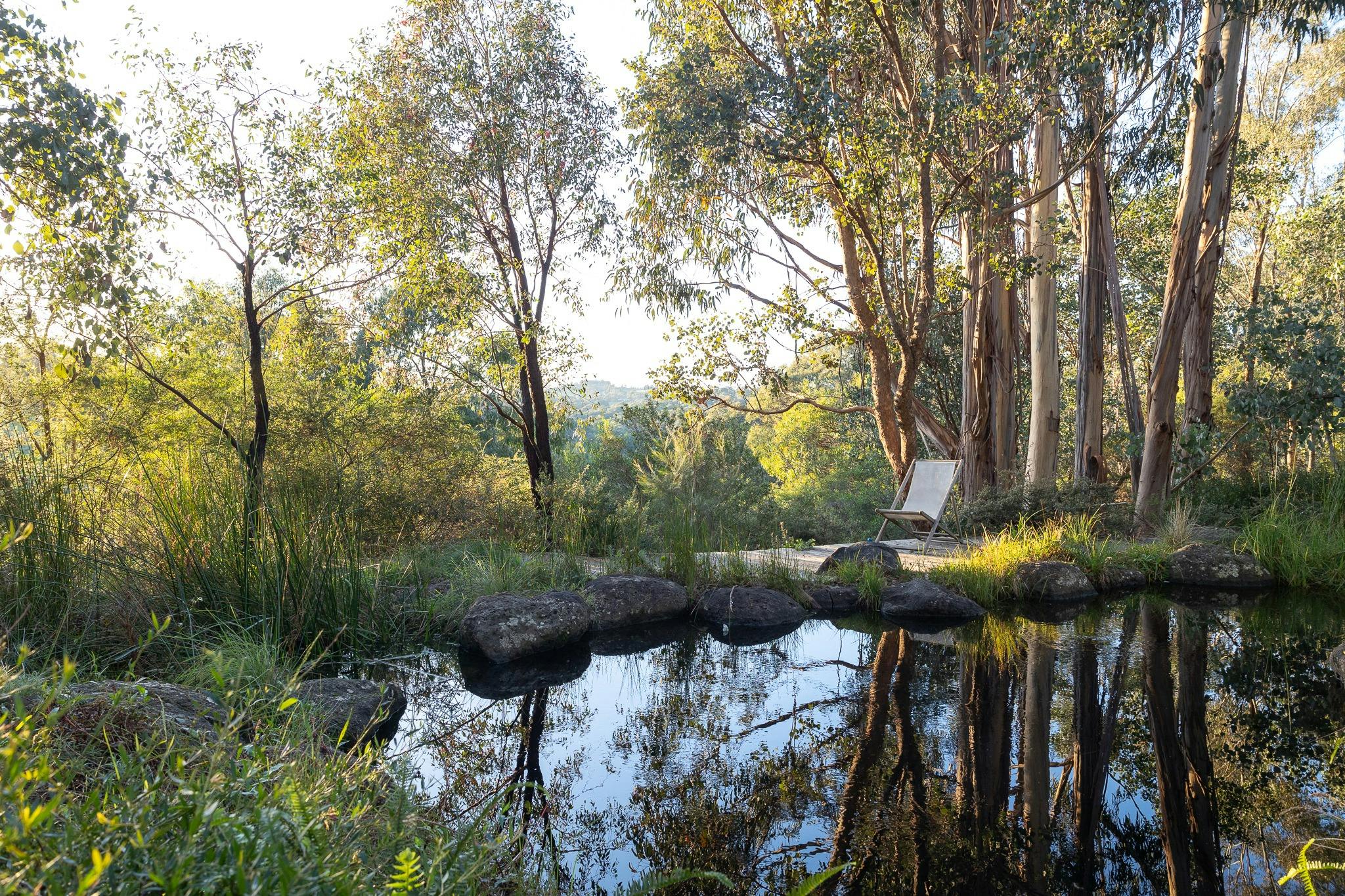 Open Gardens Victoria - Sam Cox: Wattle Glen Garden, reflections in pond