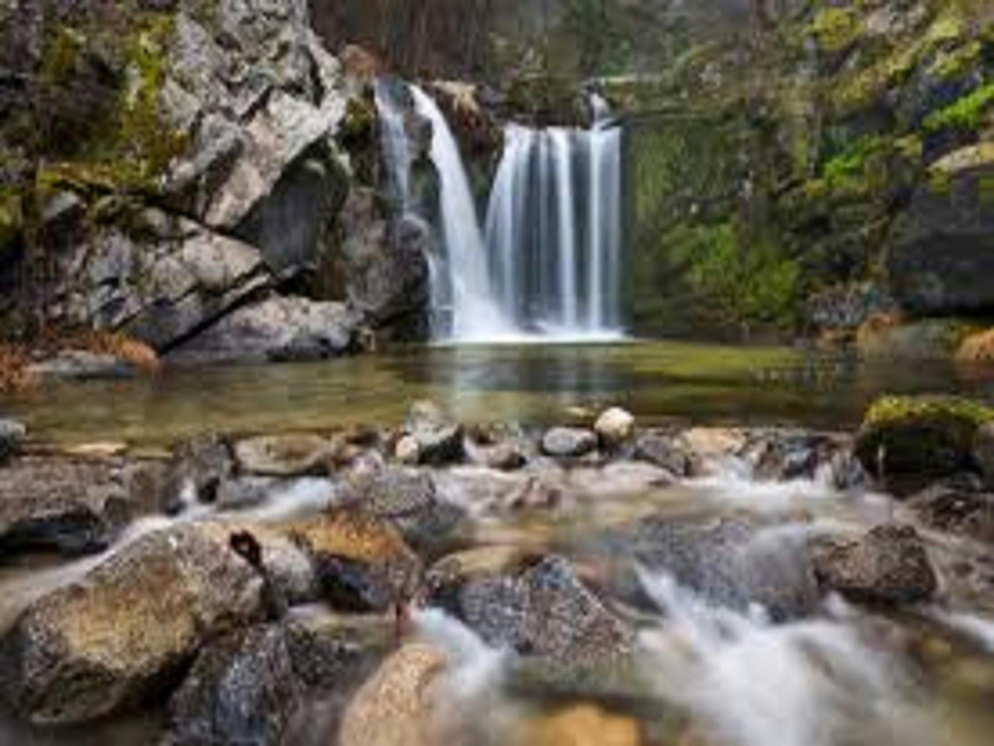 Upper Crystal Creek | NSW Holidays & Accommodation, Things to Do