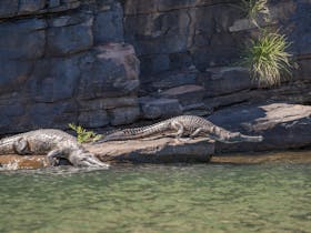 Triple J Tours, Kununurra, Western Australia