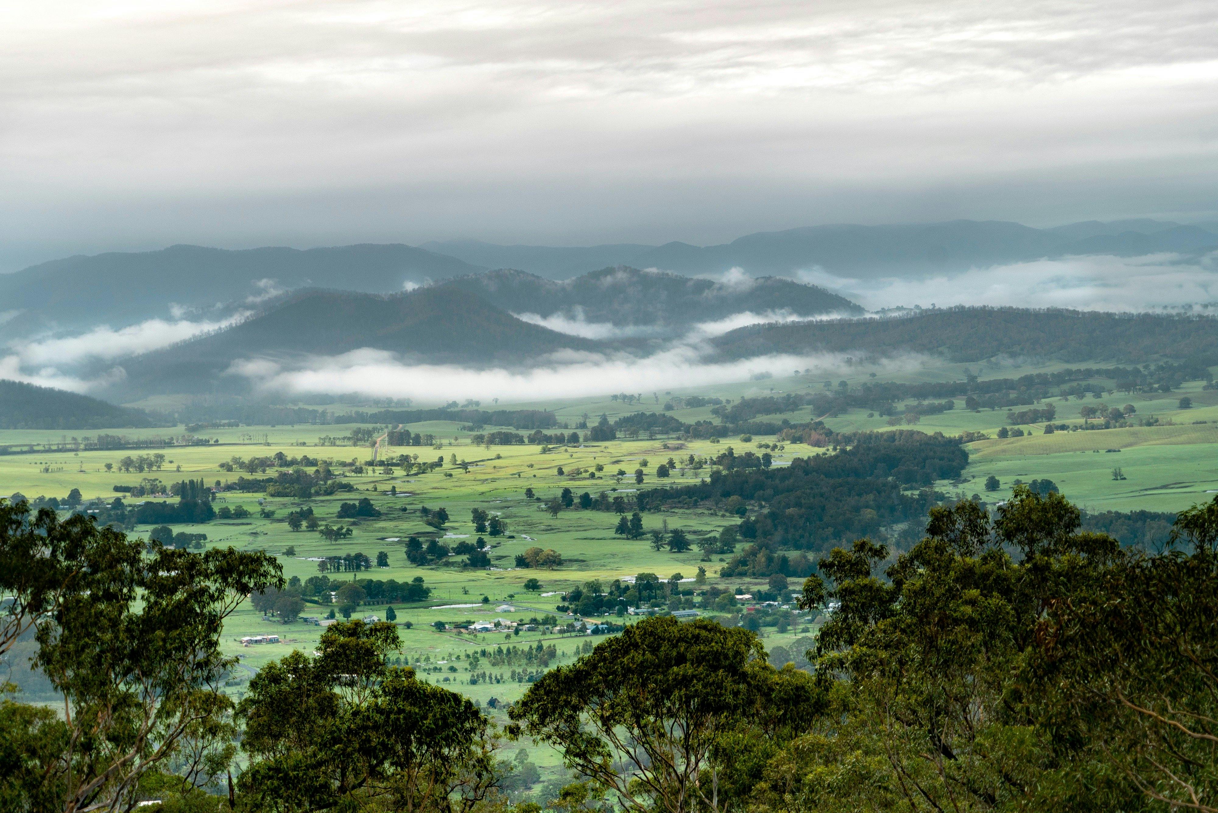 Mist settled over the Araluen Valley