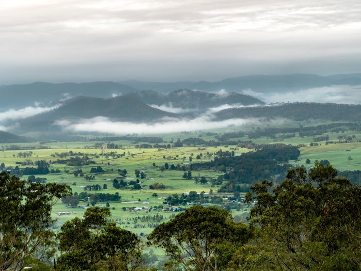 Mist settled over the Araluen Valley