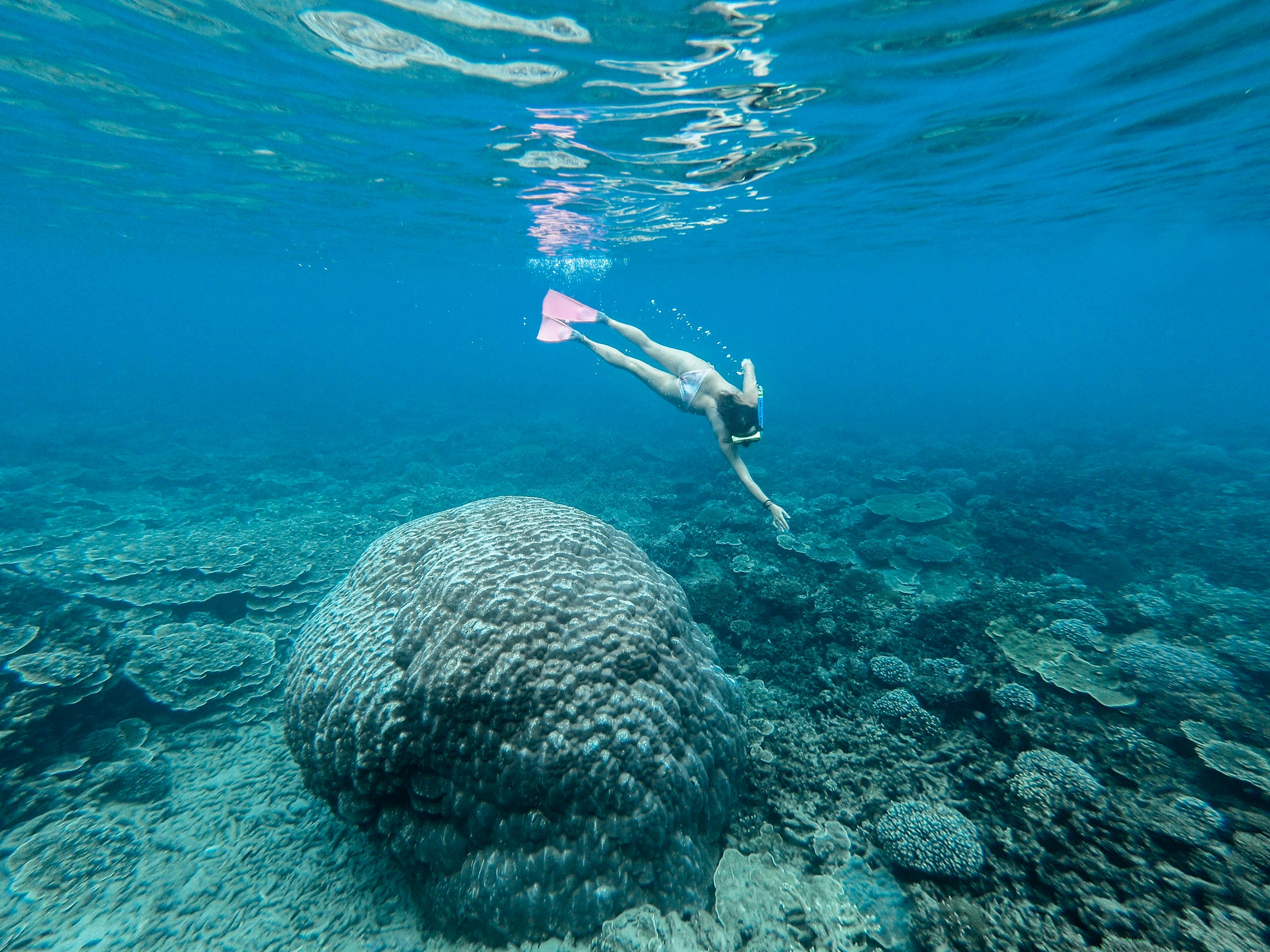 Great Keppel Island Day Trip with Lunch & Snorkel Hire