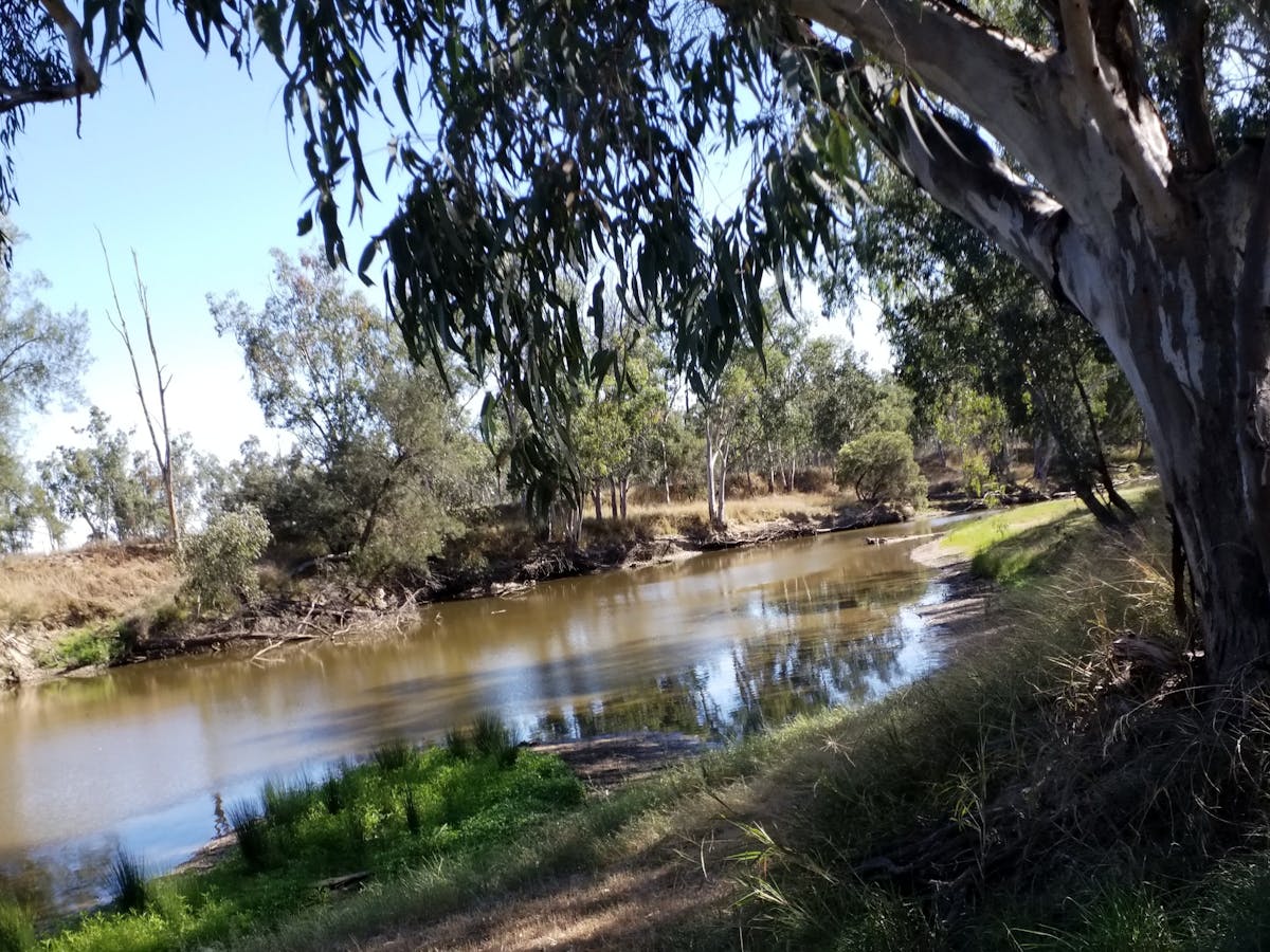 Dumaresq River