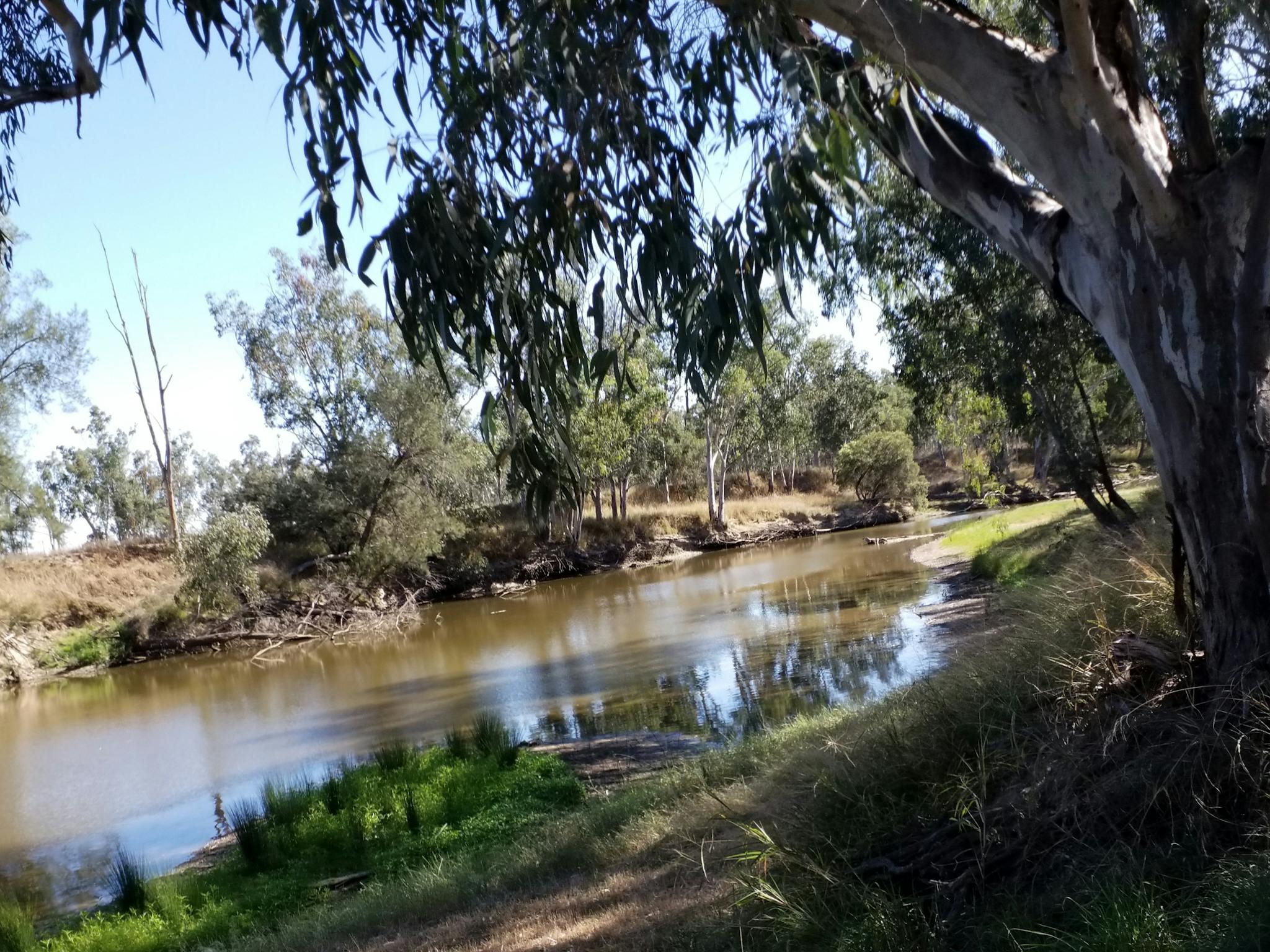 Dumaresq River Dumaresq River