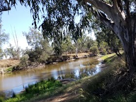 Bushland Hideaway on the River