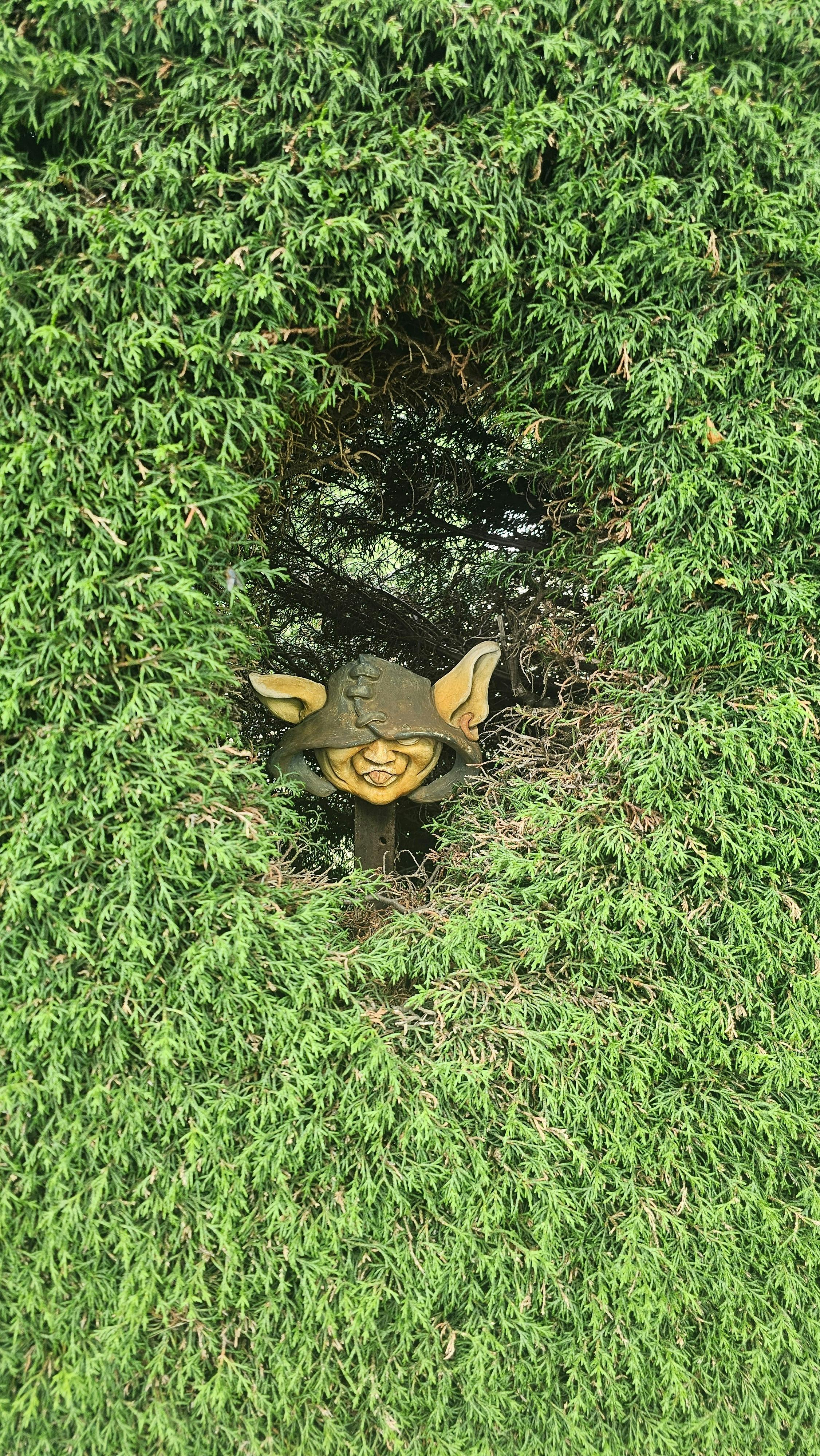 Forest pixie within the gardens