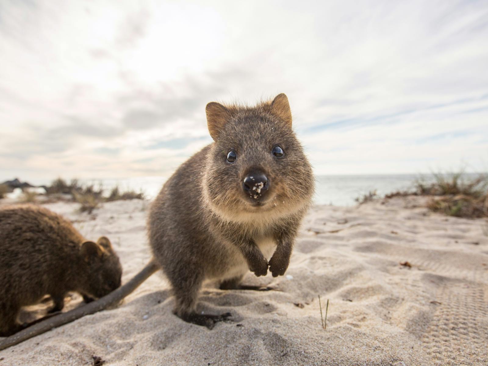 Rottnest Fast Ferries