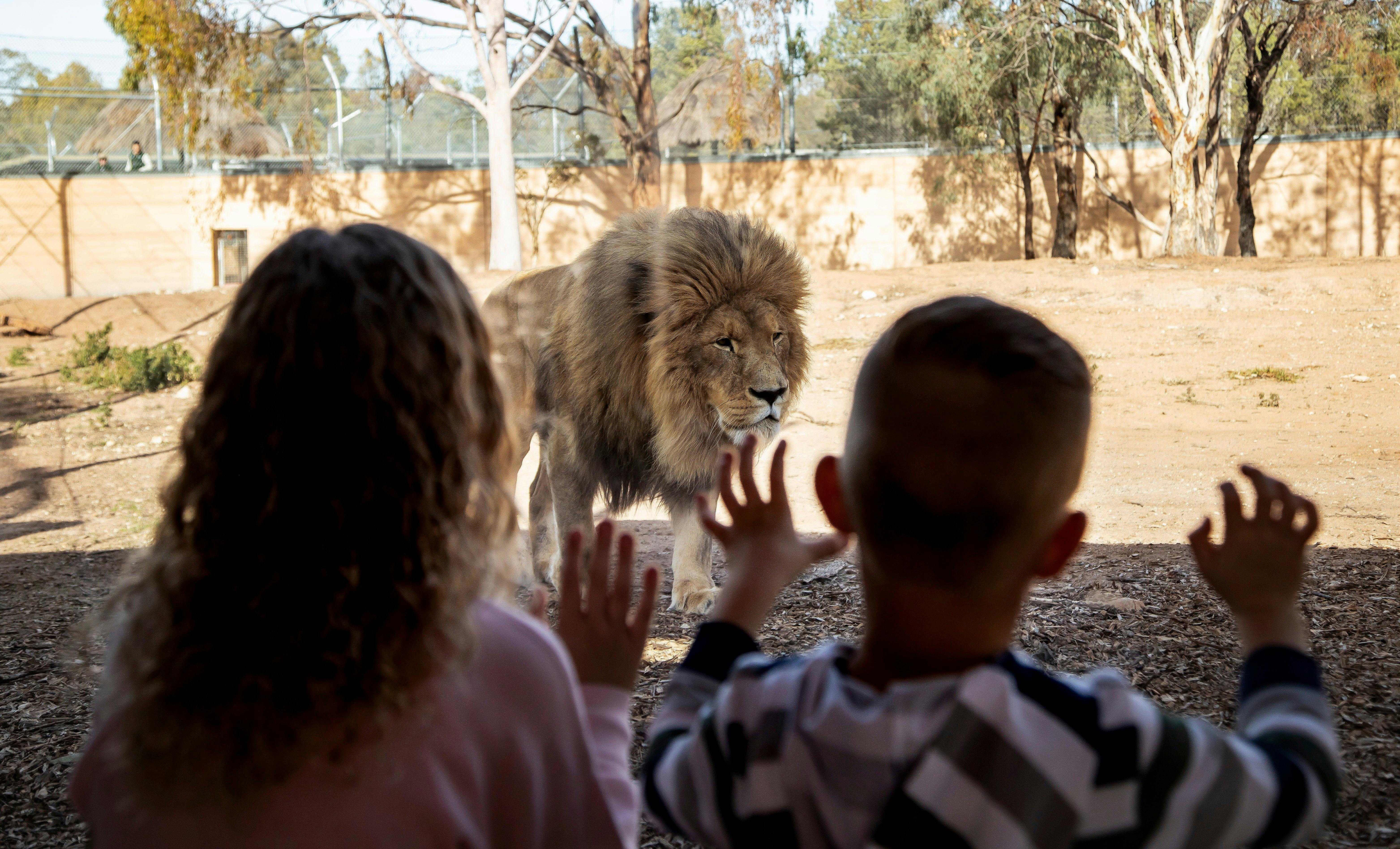 達博塔龍加西部平原動物園