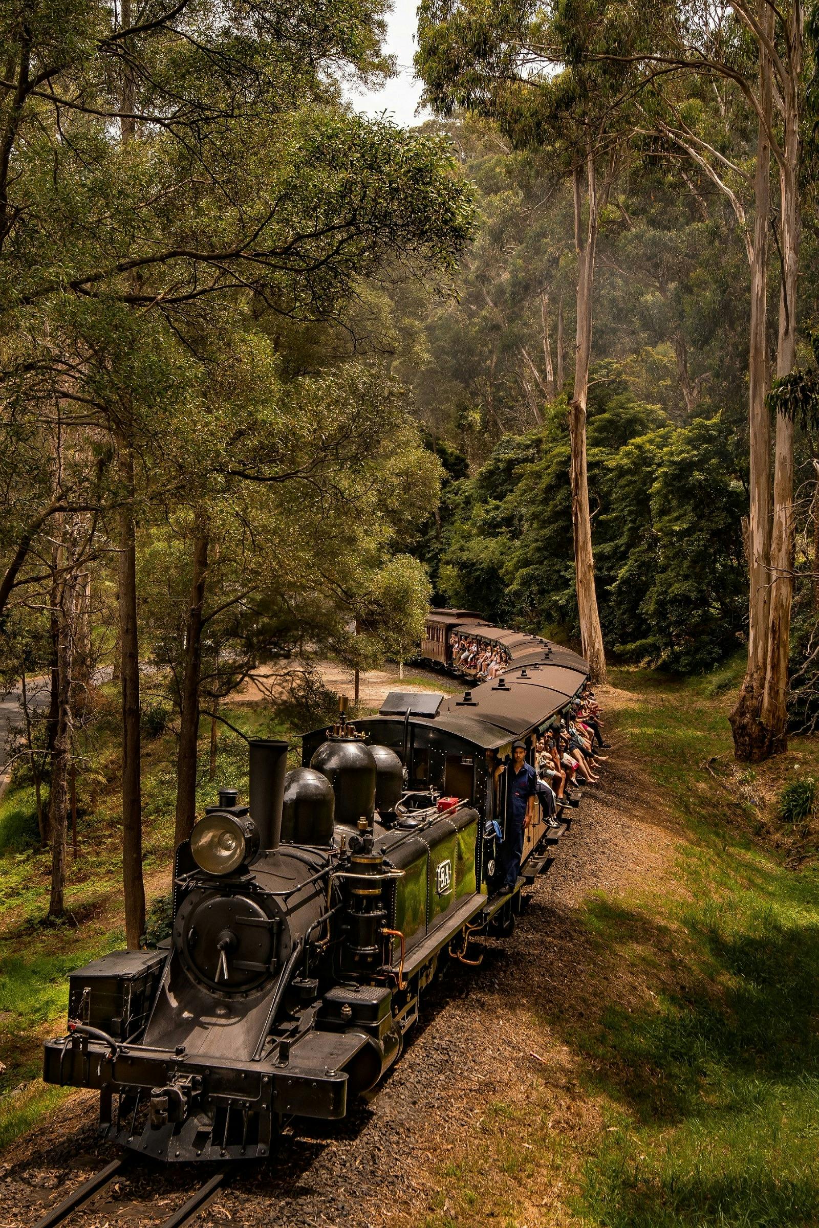 Puffing Billy Thursday Twilight Trains
