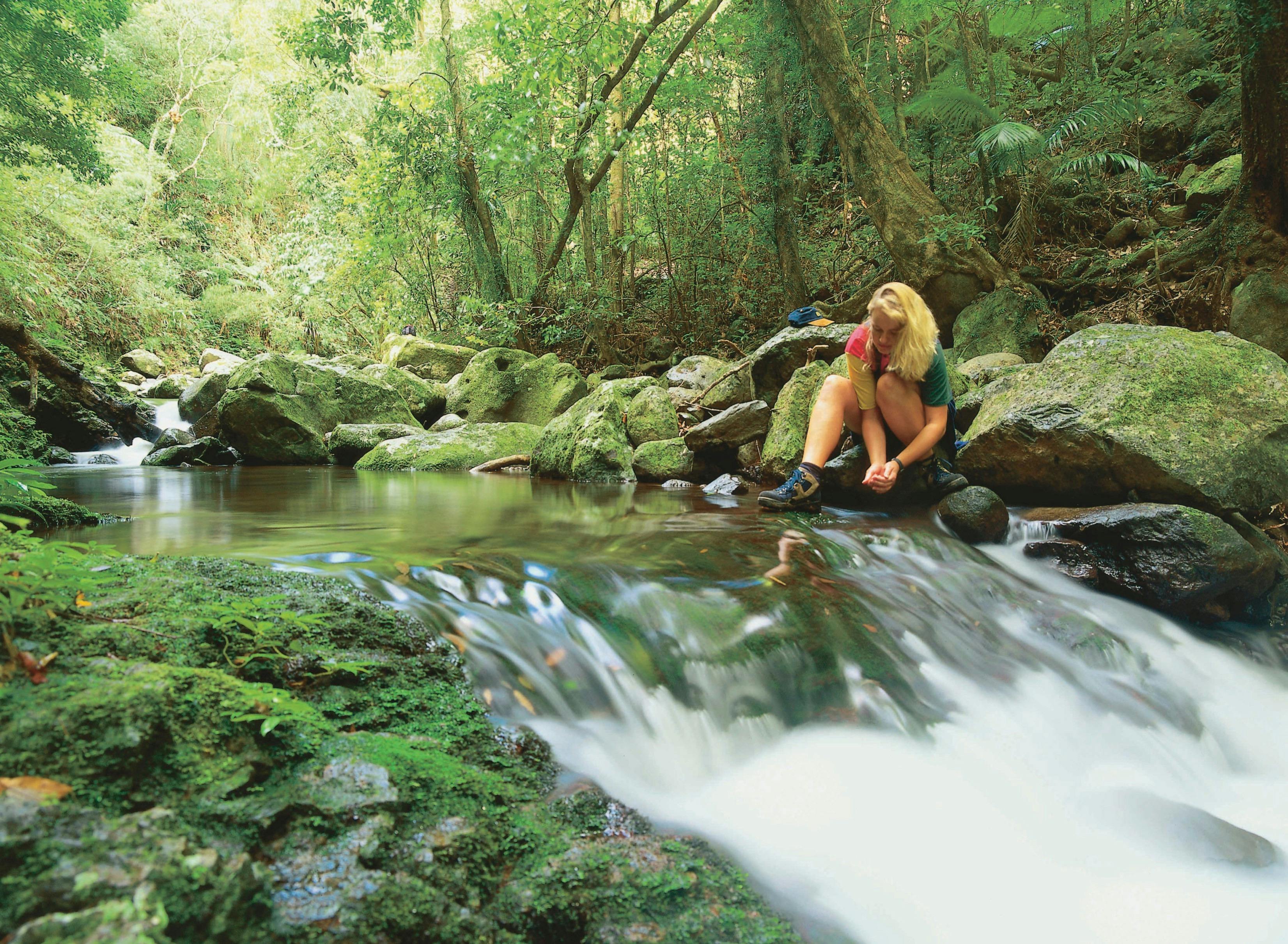 Gold Coast Hinterland 3-Day Pack-Free Guided Walk - Life's An Adventure