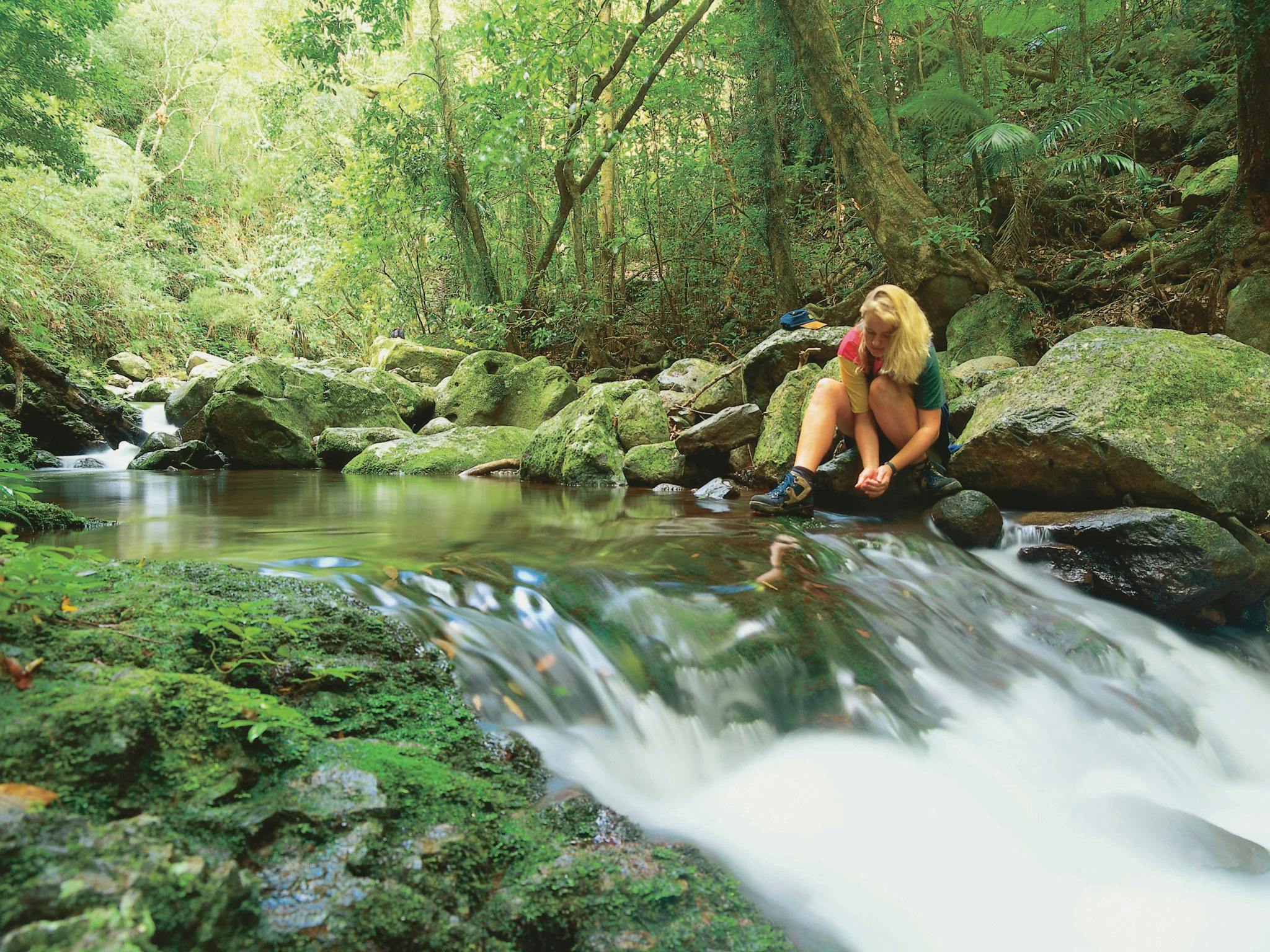 Gold Coast Hinterland 3-Day Pack Free Guided Walk from Life's An Adventure Gold Coast Hinterland 3-Day Pack Free Guided Walk from Life's An Adventure
