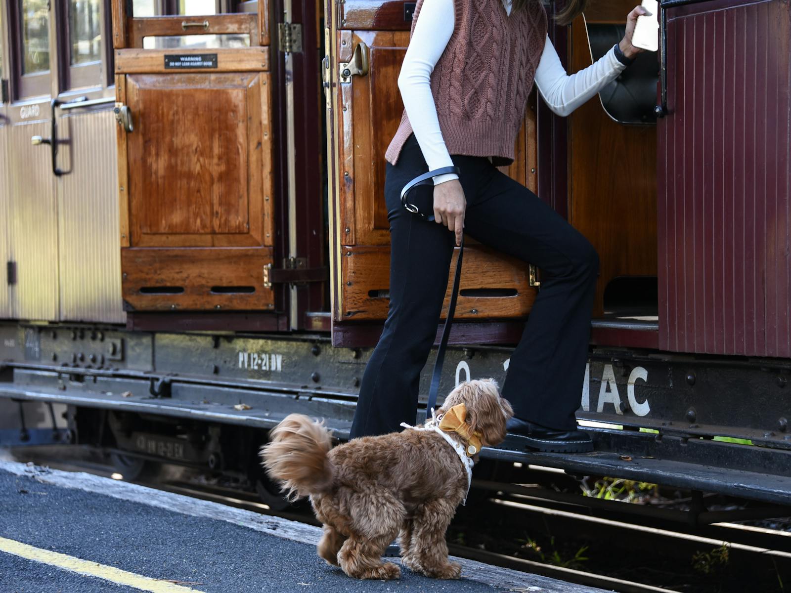 Image for Puffing Billy Dog Express