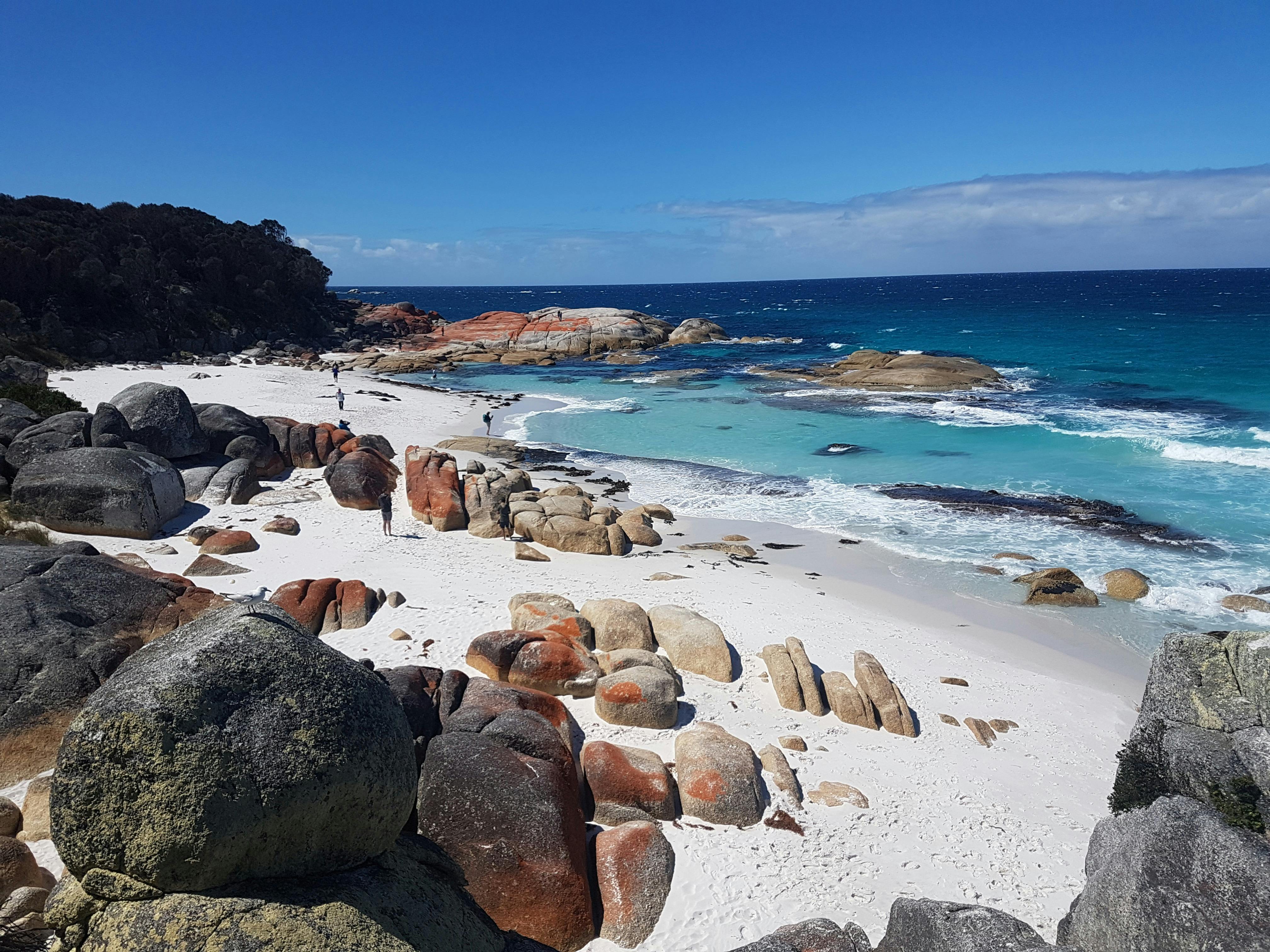 Tasmania-Backpacker-Tours