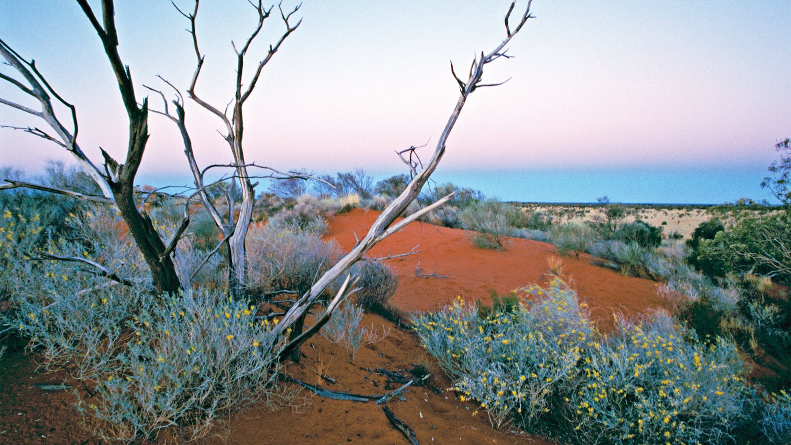 Welford National Park