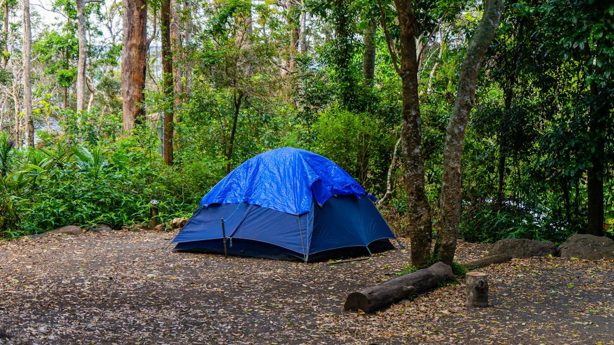 Image shows a small tent set up on a tent site