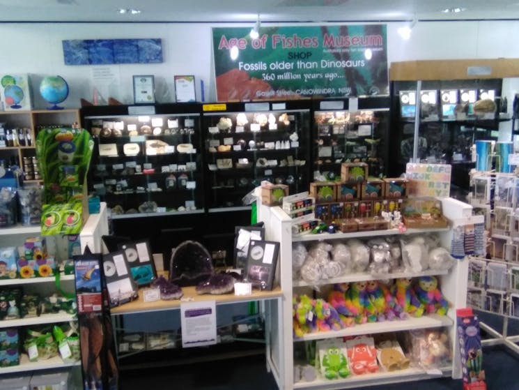 View of a gift shop showing images of stock- toys, crystals and gifts