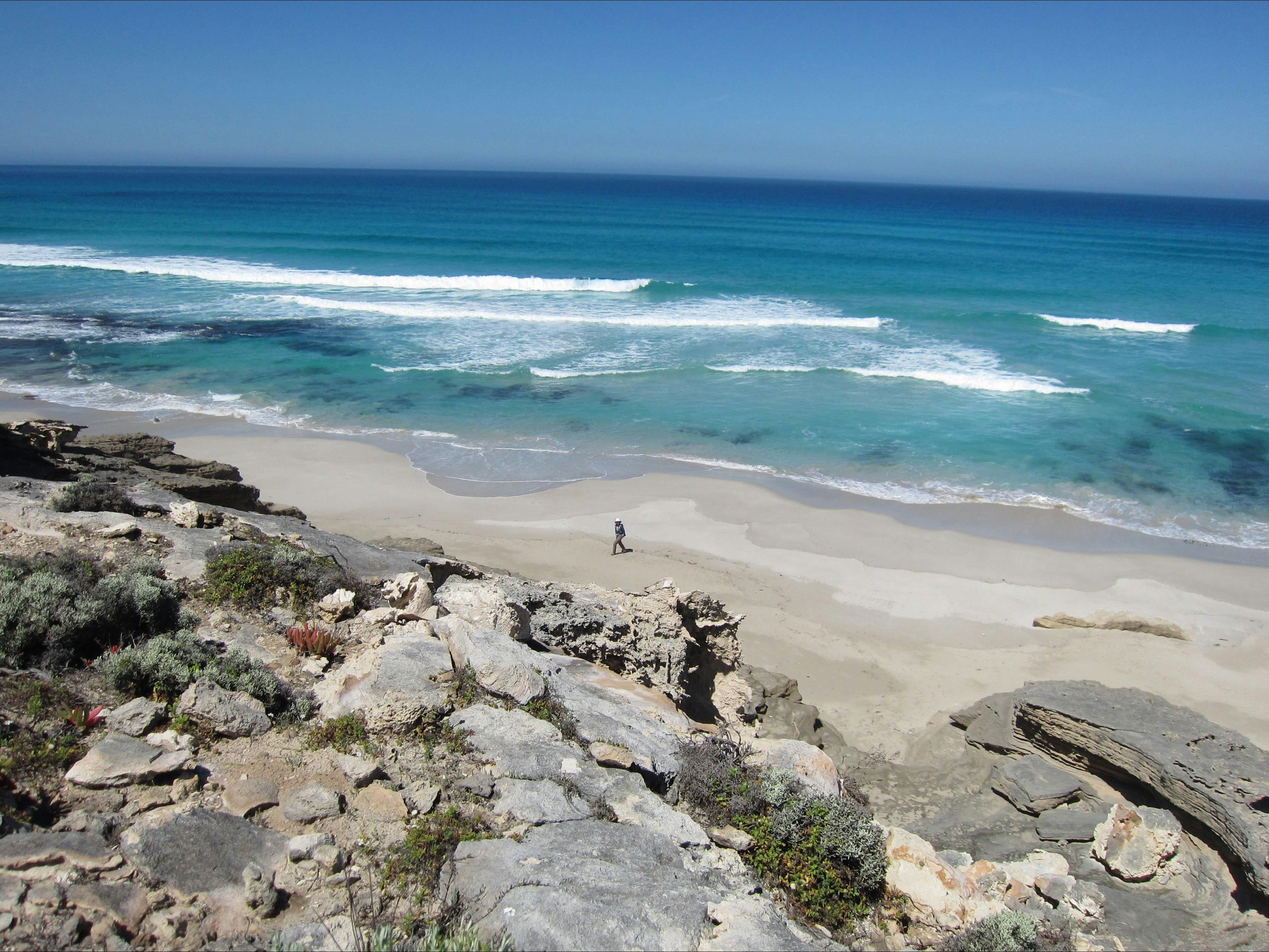 Walker on secluded beach on Kangaroo Island