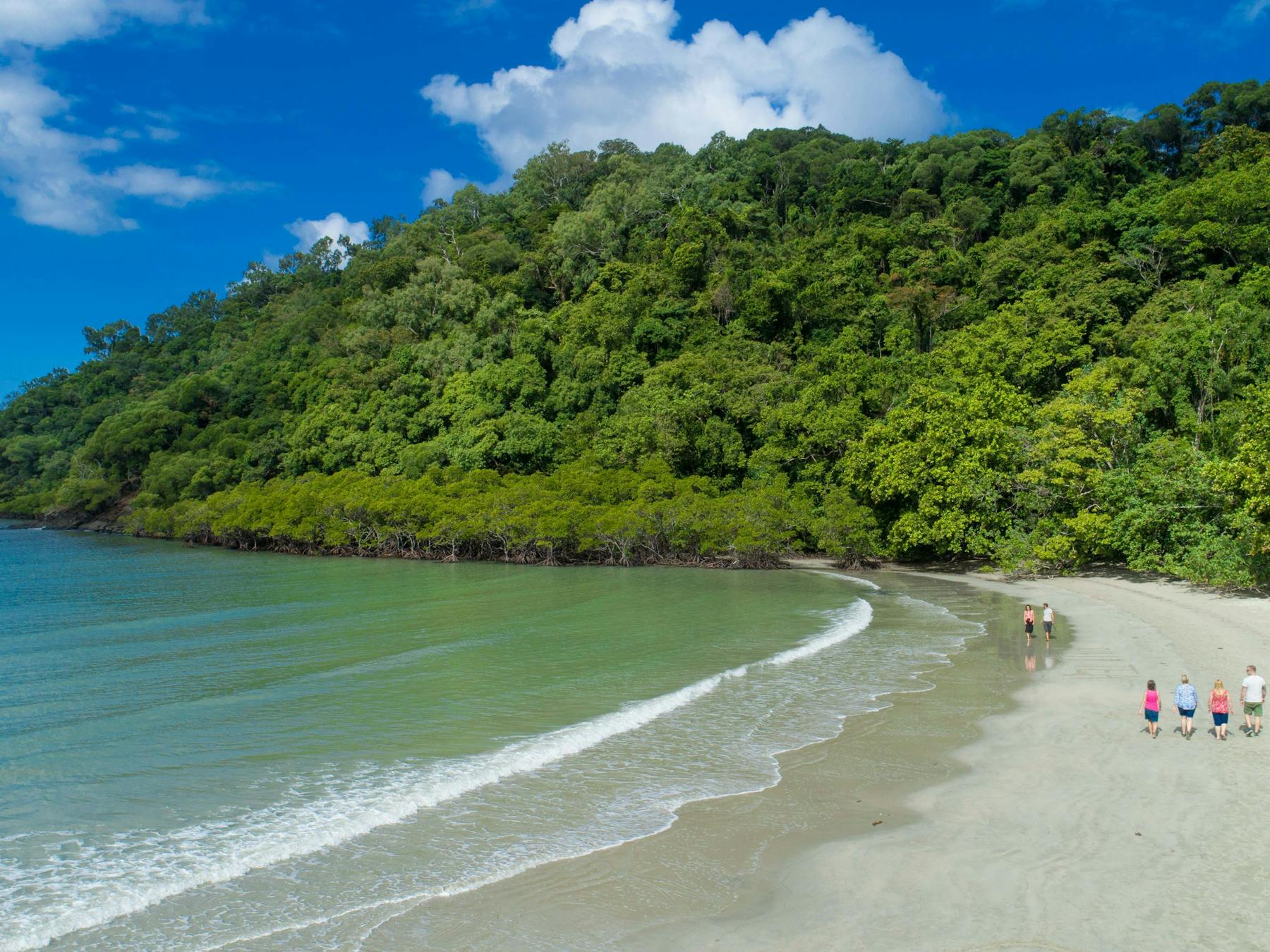 Stop at the most iconic beach where two world heritage sites meet-Rainforest and the Reef