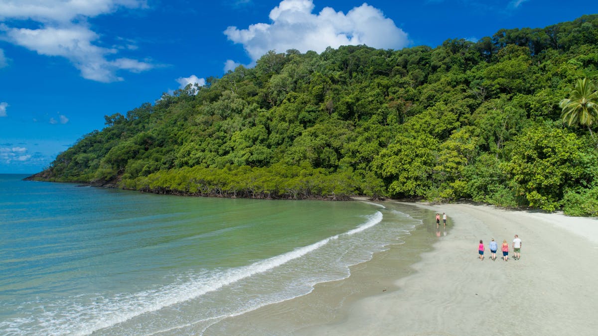 Stop at the most iconic beach where two world heritage sites meet-Rainforest and the Reef