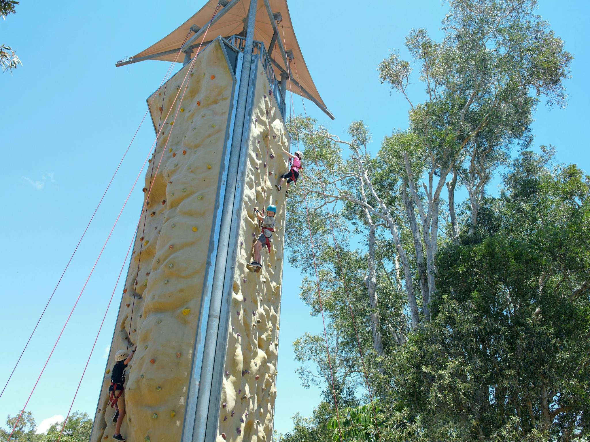 Apex Camps Sunshine Coast Corporate and Group Activities Attraction