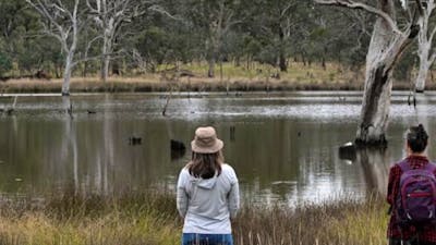 Woman connecting with nature