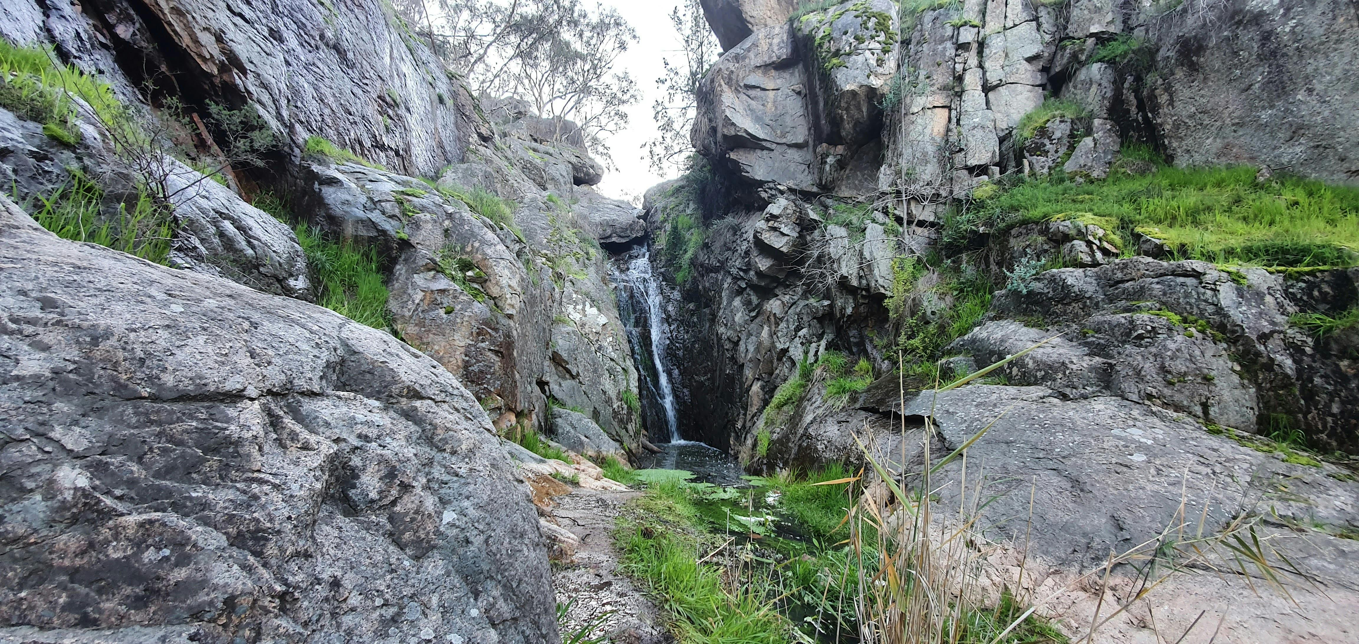 Grey bolders, green native grasses & moss, waterfall in distance, trees at top of waterfall