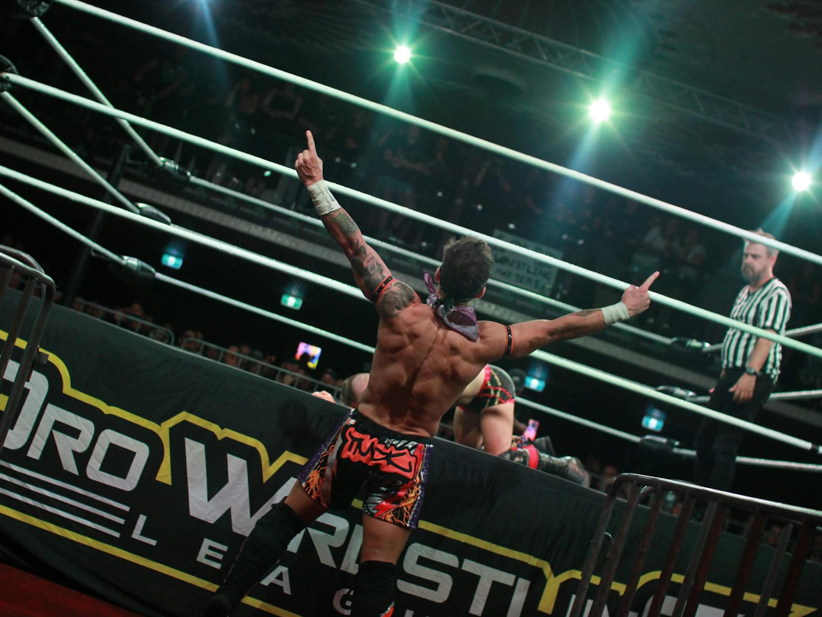 Image for Pro Wrestling League - Chaos in Coffs