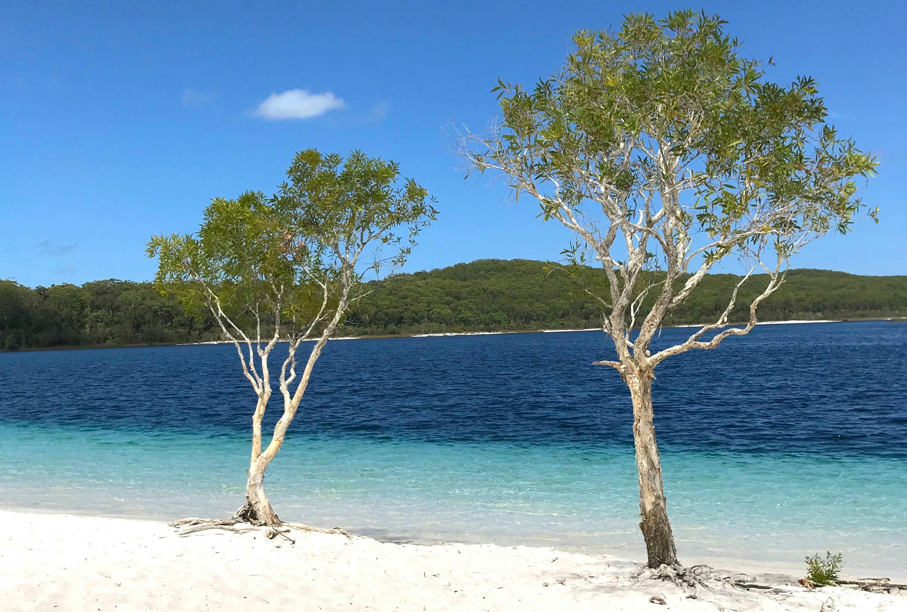 The beauty of Lake McKenzie