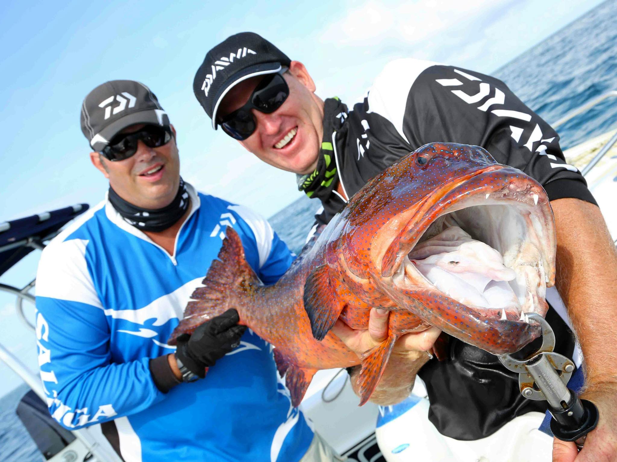 coral trout coral trout