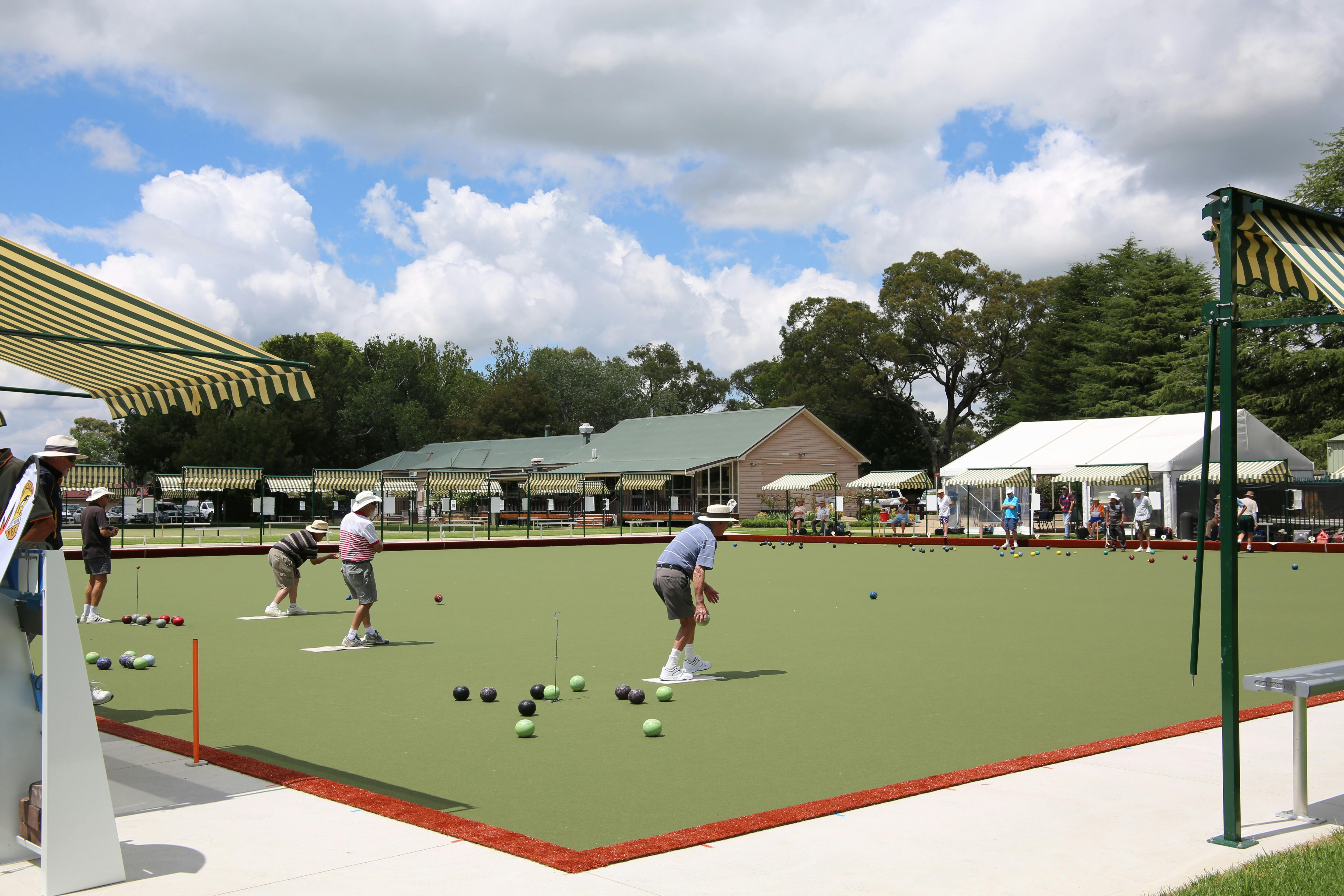 Synthetic Bowls Green