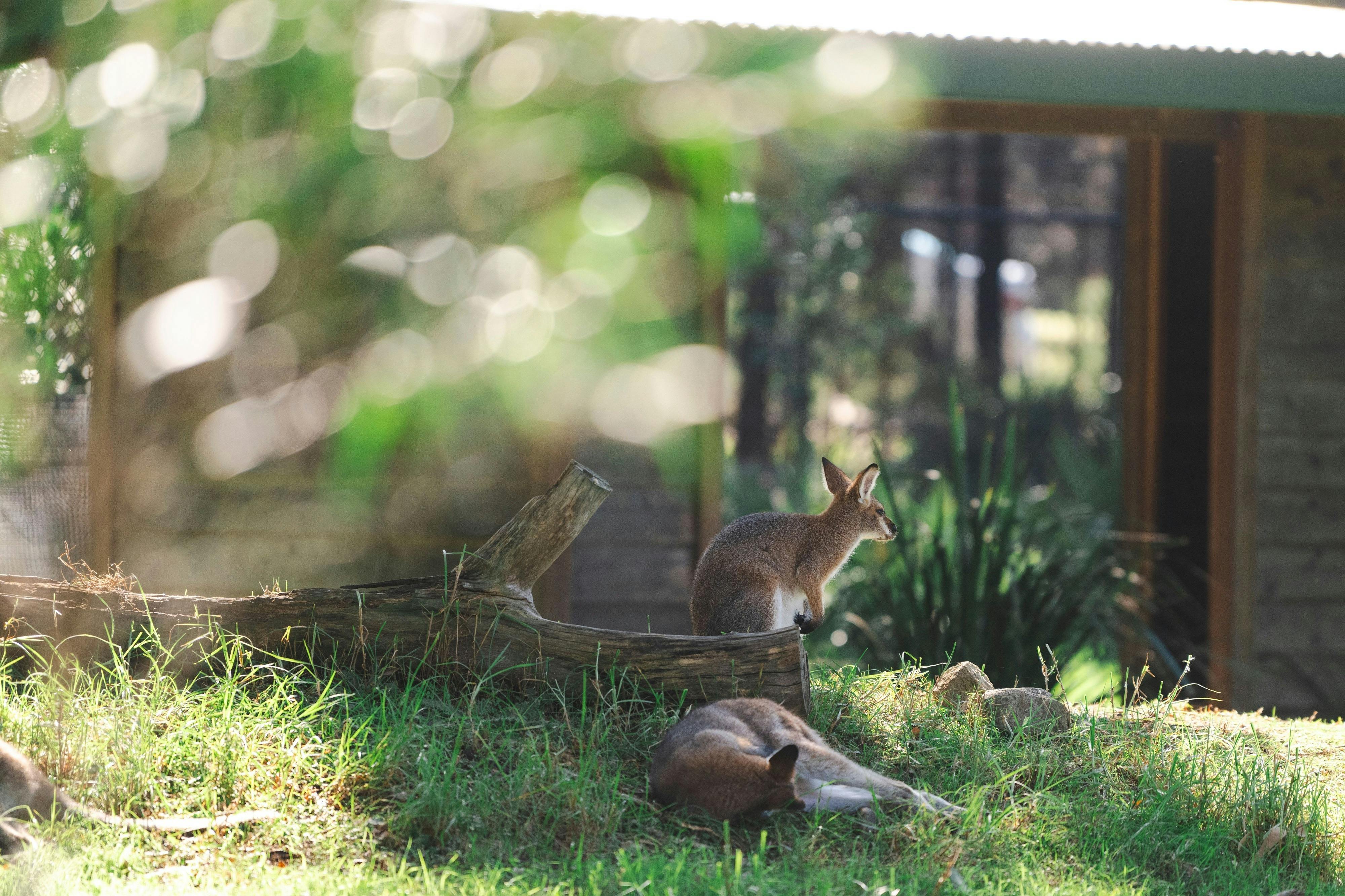 Couple explores the Central Gardens Nature Reserve in Merrylands West