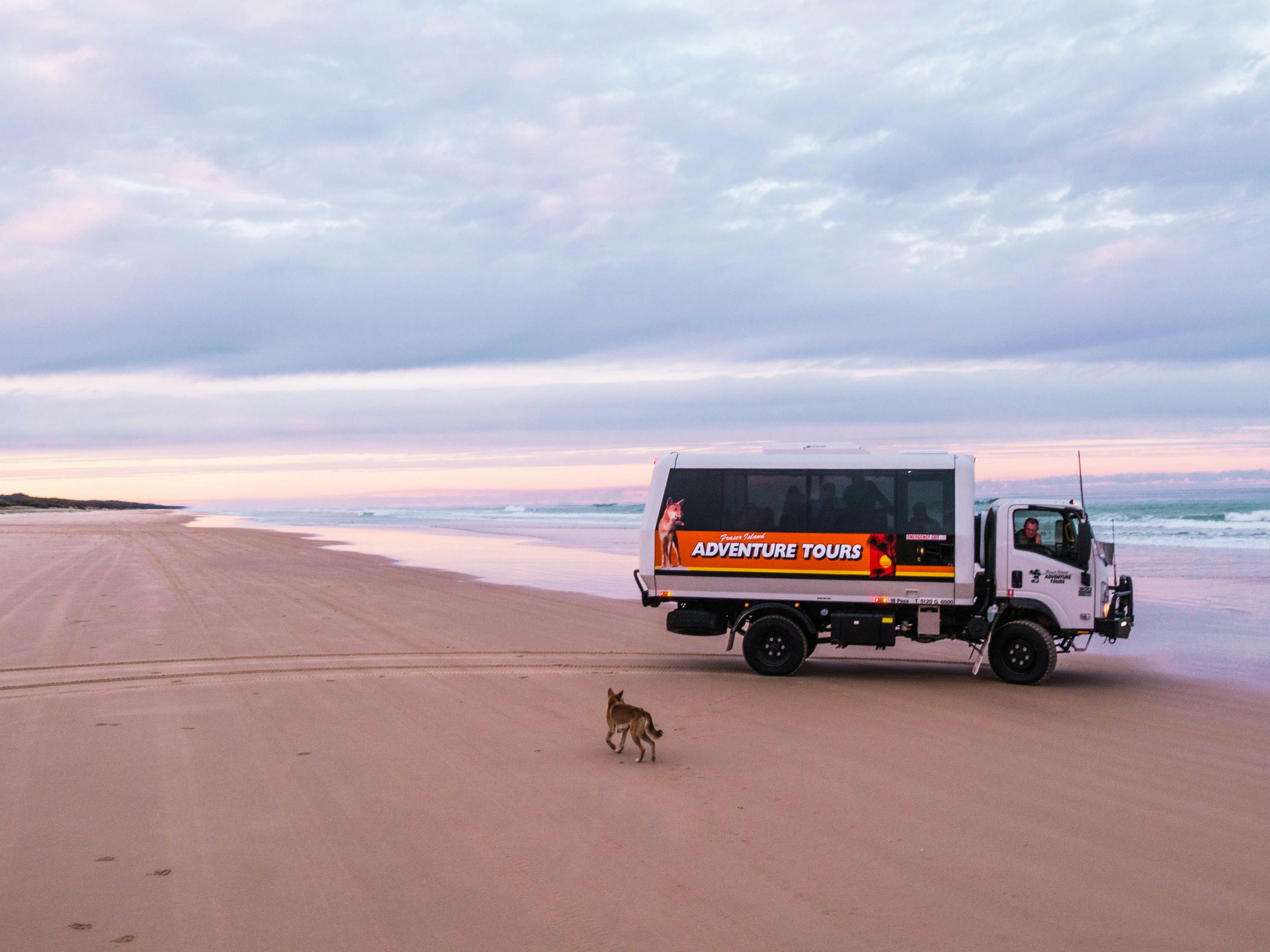4WD tour bus with dingo