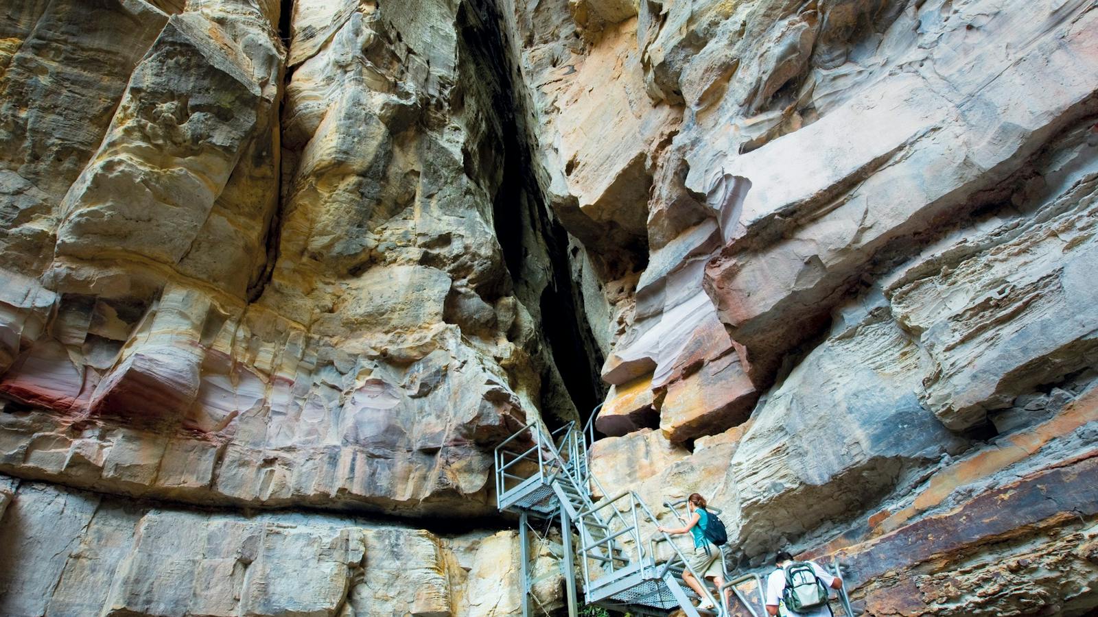 Carnarvon Gorge