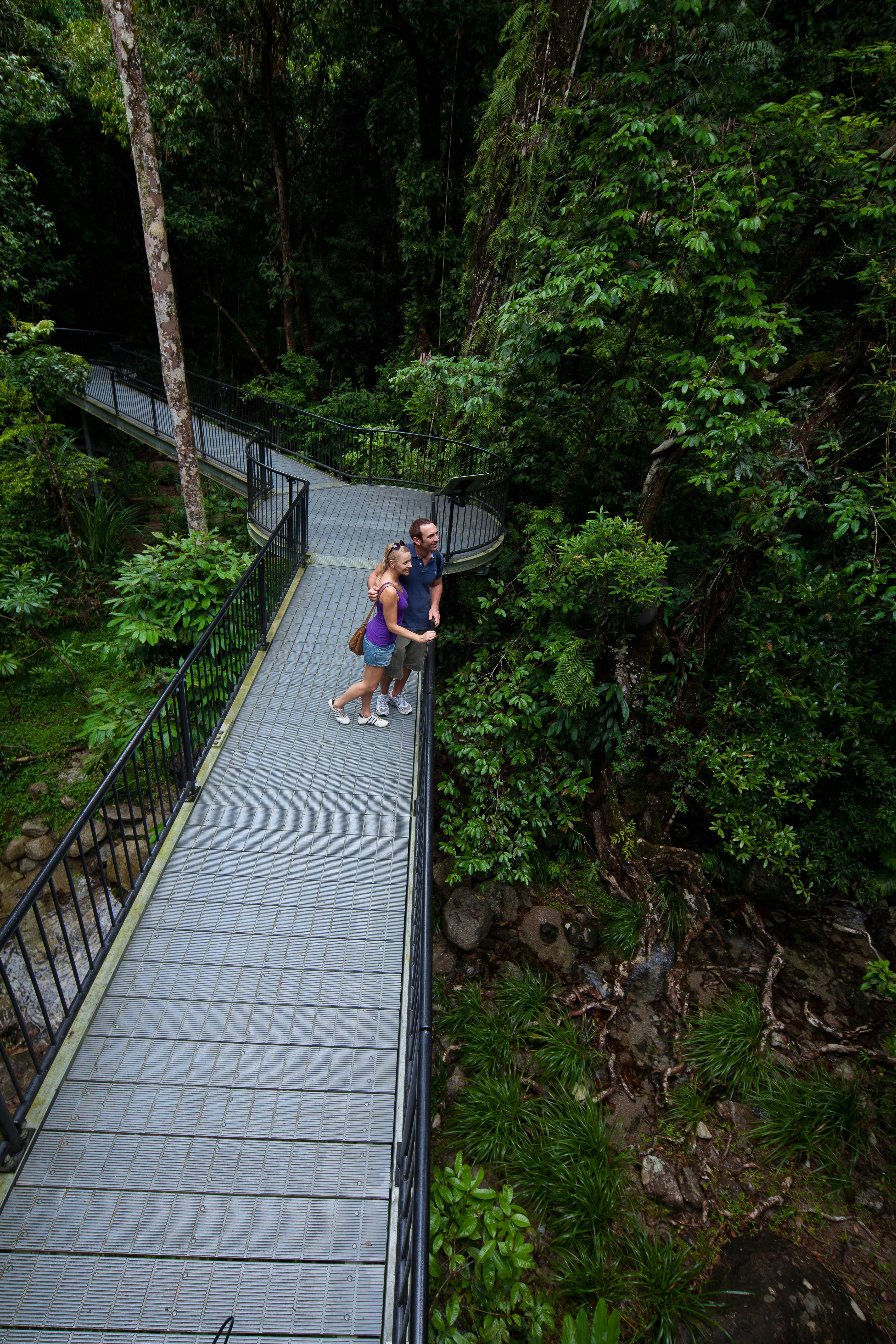 Cape Tribulation, Daintree & Mossman Gorge Premium Rainforest Tour