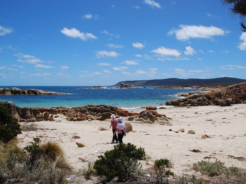 Four Wheel Drive Tour Flinders Island