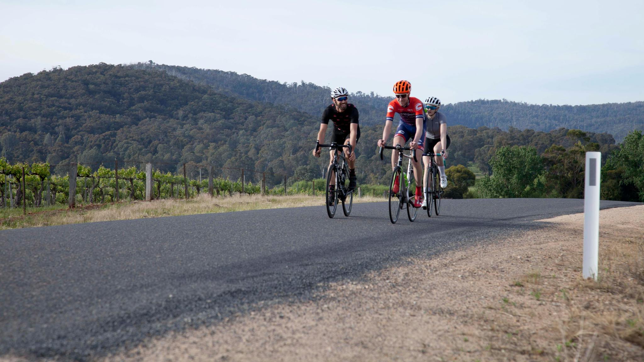 cyclists riding on the road vineyards and hills in the back ground