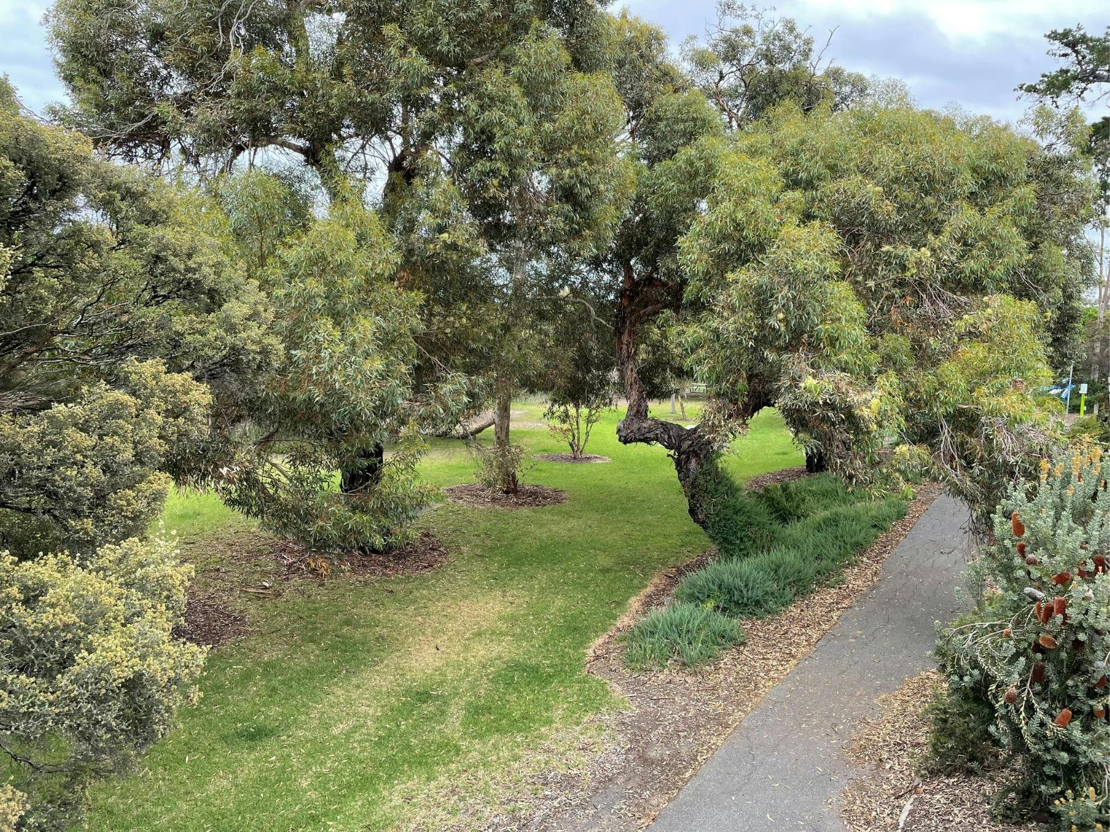 Barker Reserve