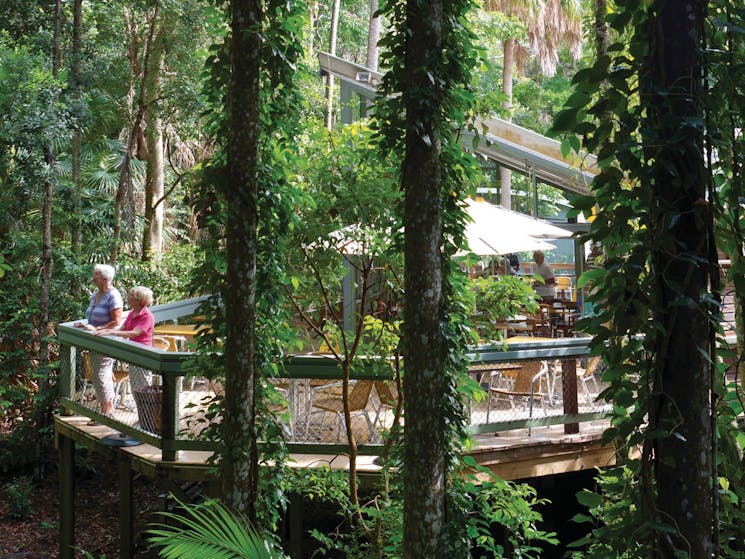People enjoying the Rainforest Centre in Sea Acres National Park