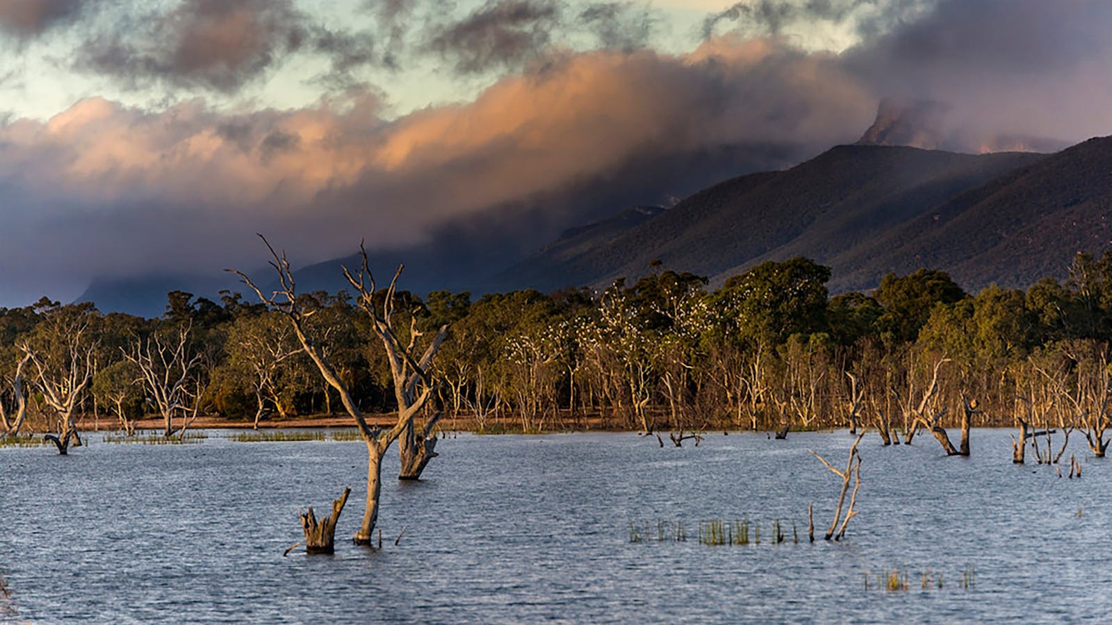 Lake Fyans