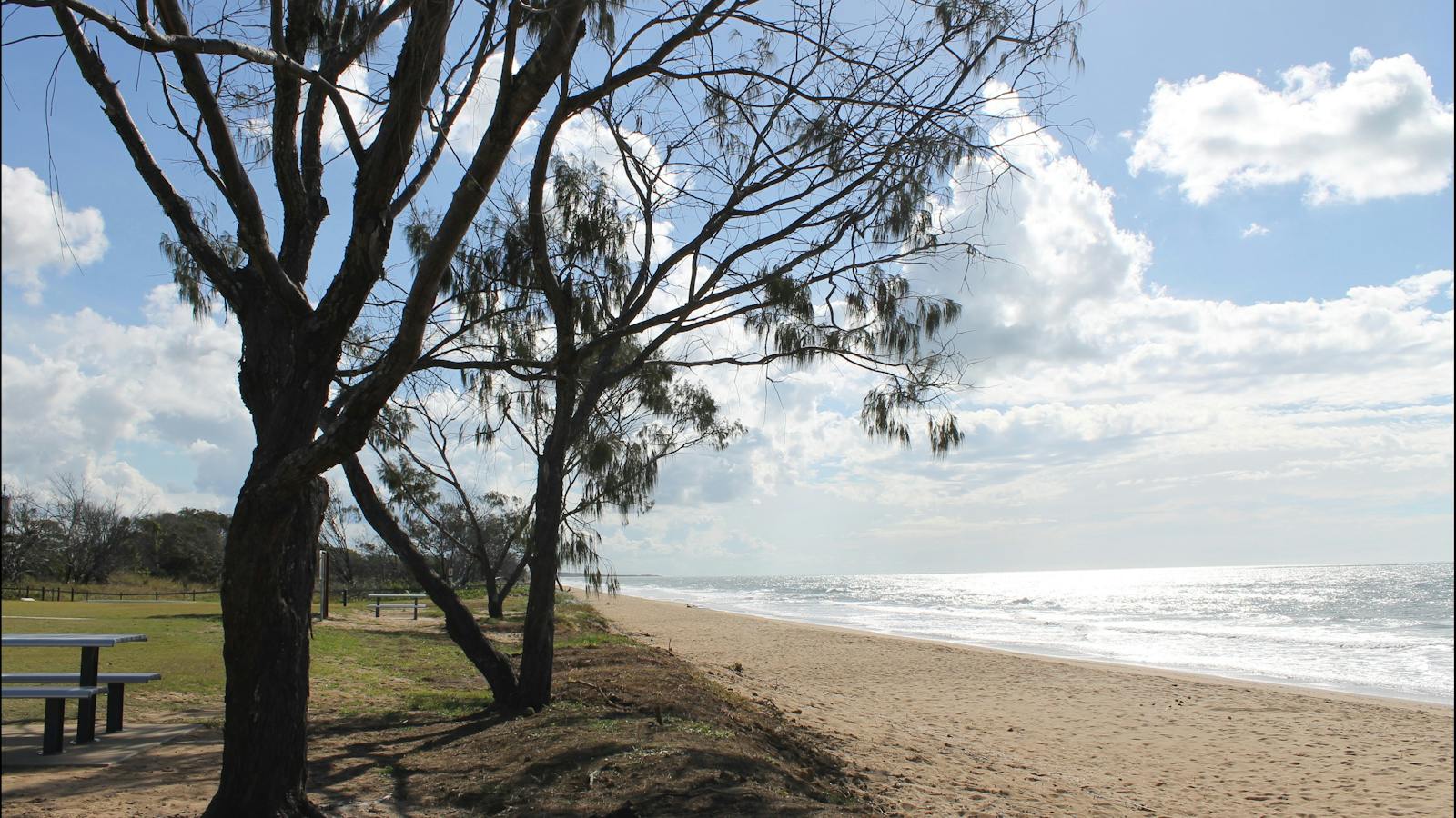 Moore Park